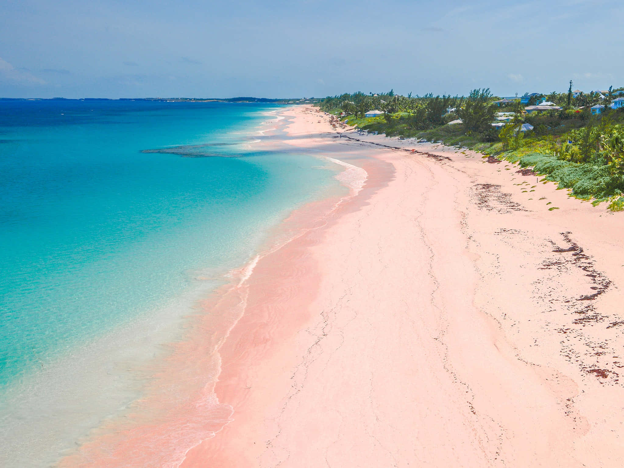 Pink Sand Beach, turquoise waters, lush greenery, Full HD Desktop Wallpaper
