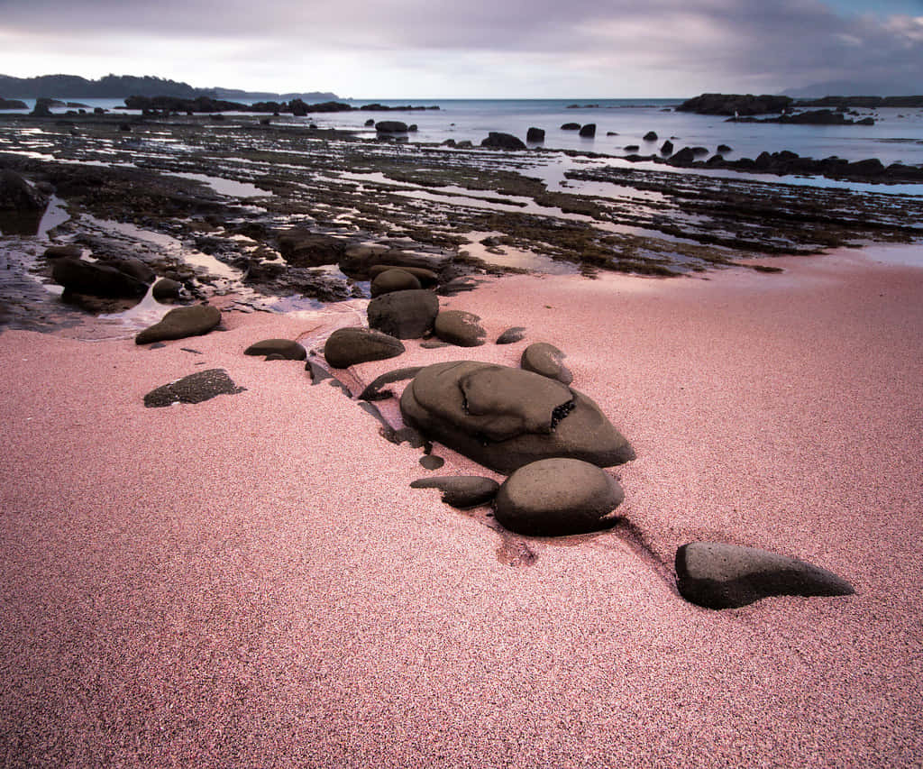 Pink Sand Beach, pink sand, smooth rocks, SD Desktop Wallpaper