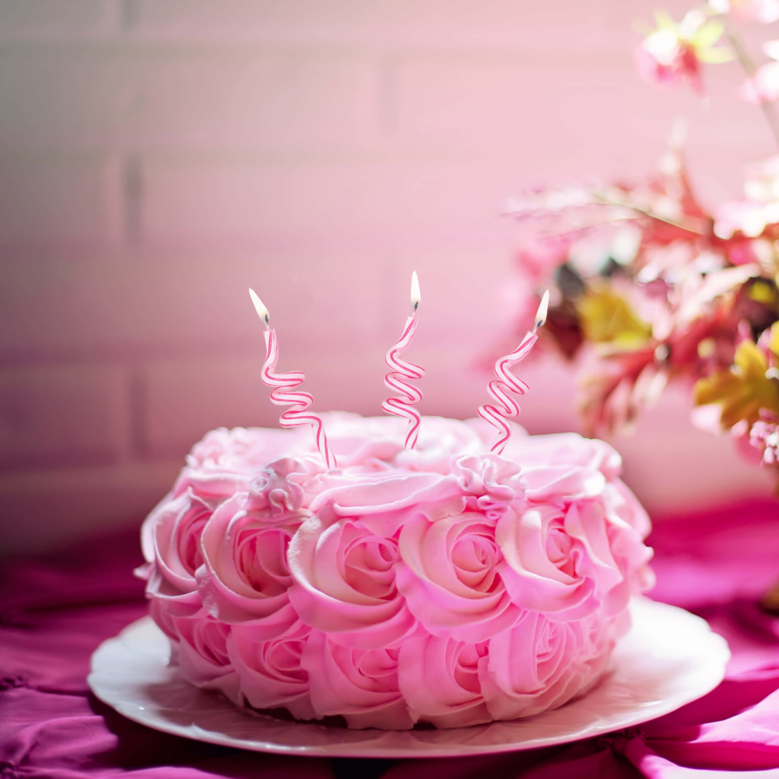 pink cake, rose-shaped birthday cake, three lit spiral candles, 2K Desktop Wallpaper