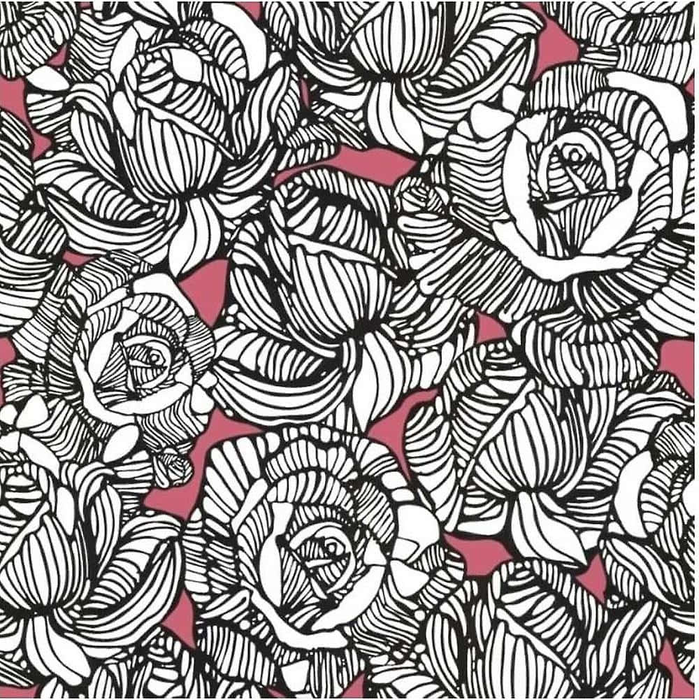 pink, black, white, SD Phone Wallpaper