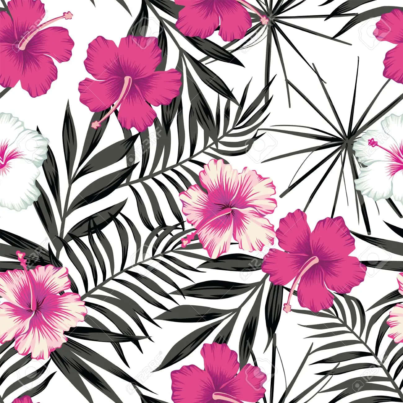 Vibrant pink, white hibiscus flowers, bold black tropical leaves, HD Desktop Wallpaper
