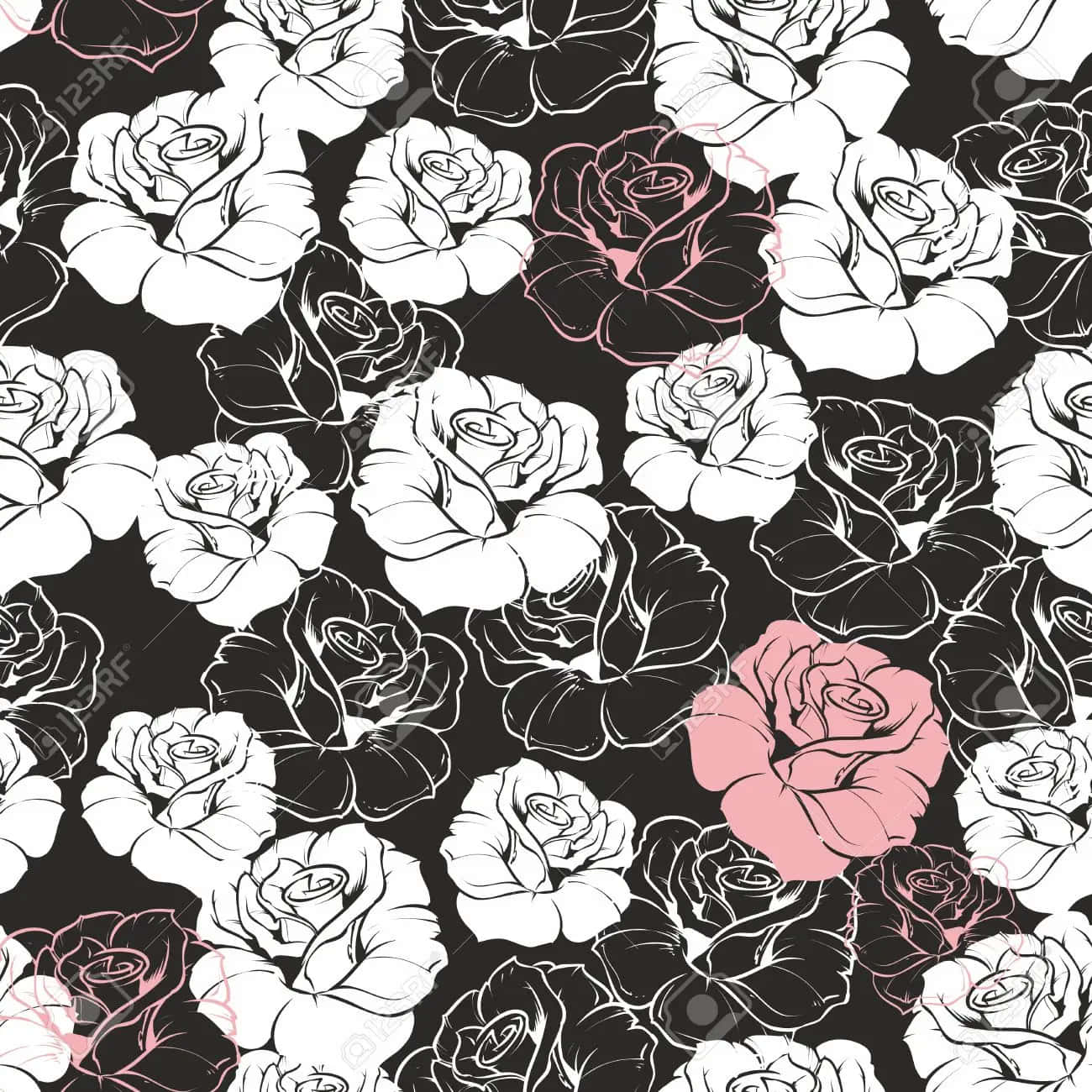 pink, black, white, HD Desktop Wallpaper