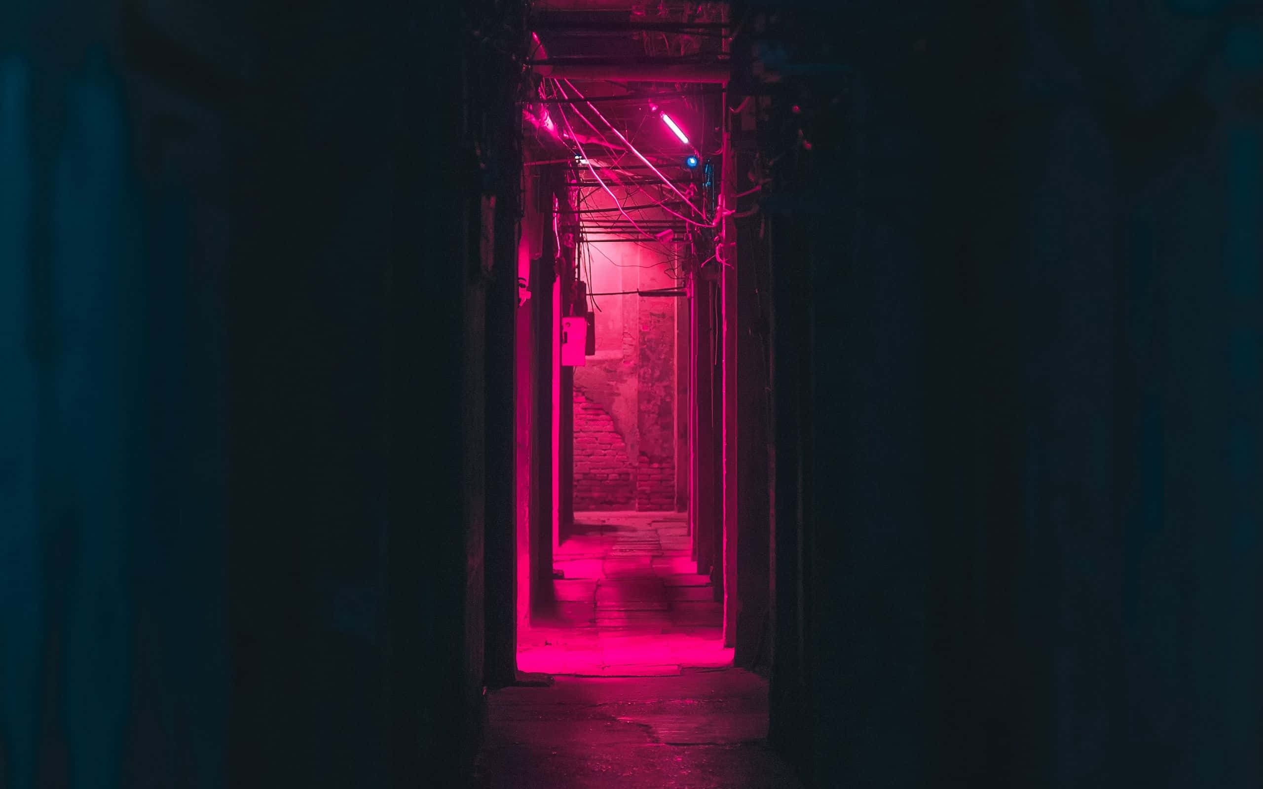 pink neon light, wet stone steps, narrow alleyway, 2K Desktop Wallpaper