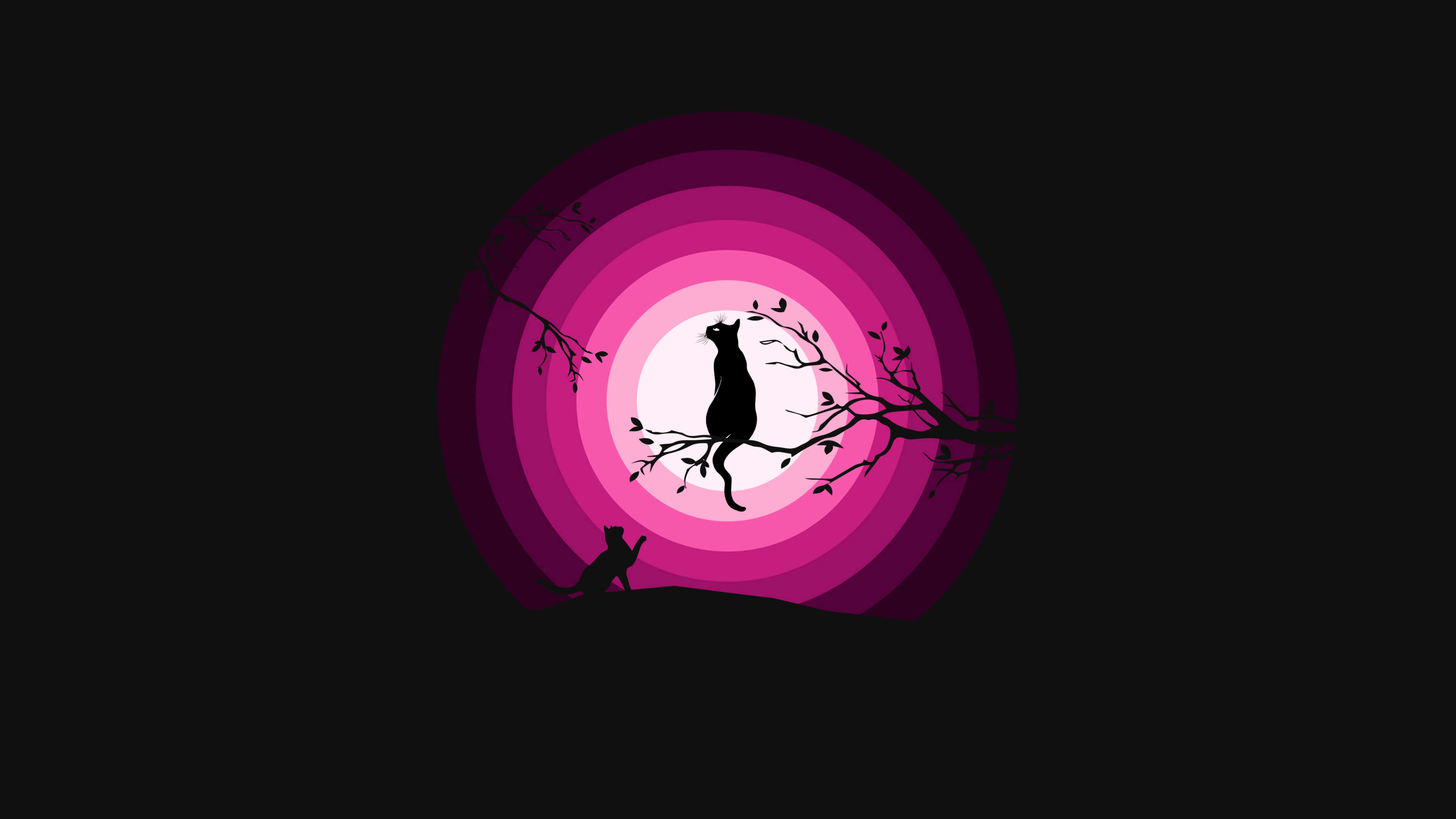 Pink Black, cat, silhouetted cats, 5K Desktop Wallpaper