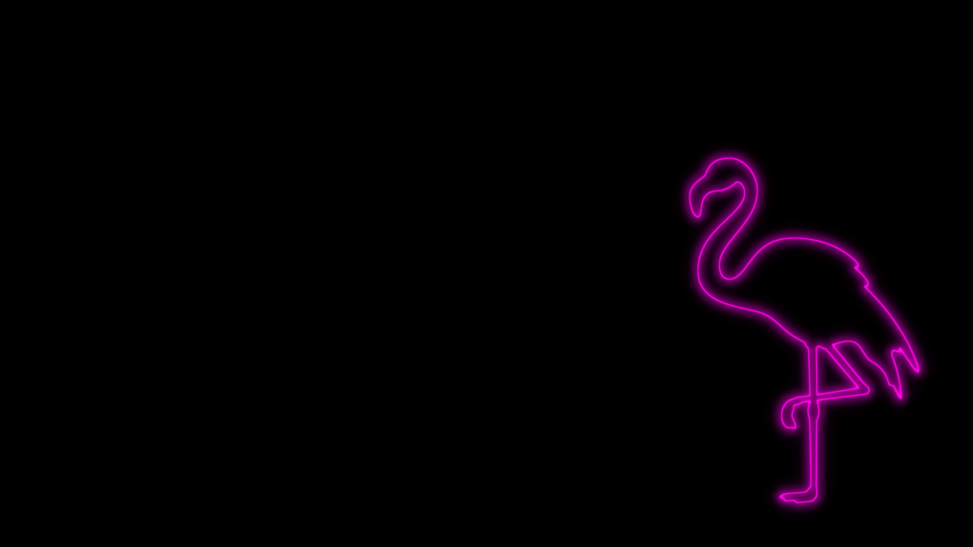 Pink Black, flamingo, glowing pink neon outline, 4K Desktop Wallpaper