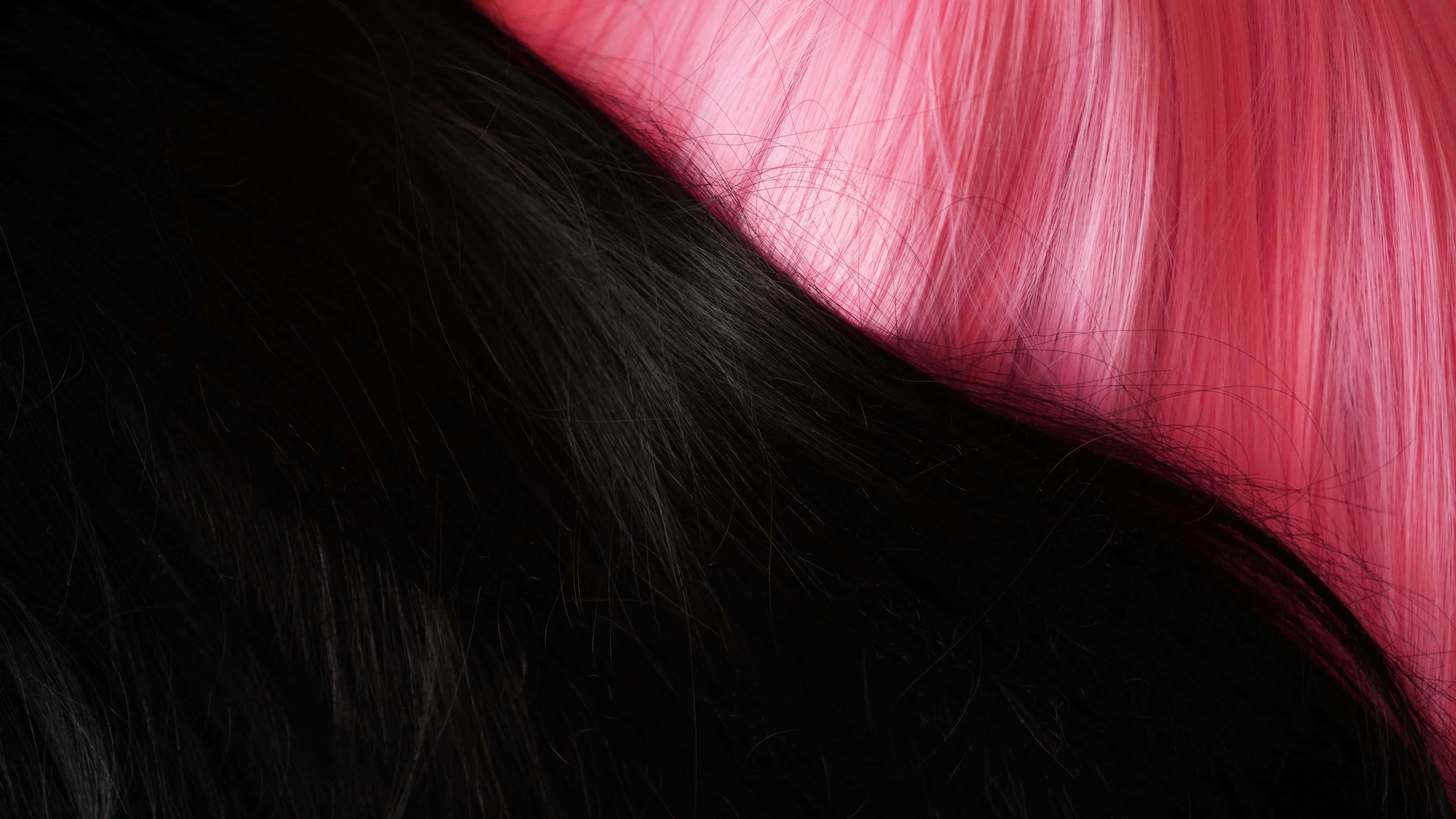 black hair, vibrant pink hair, bold color contrast, 2K Desktop Wallpaper