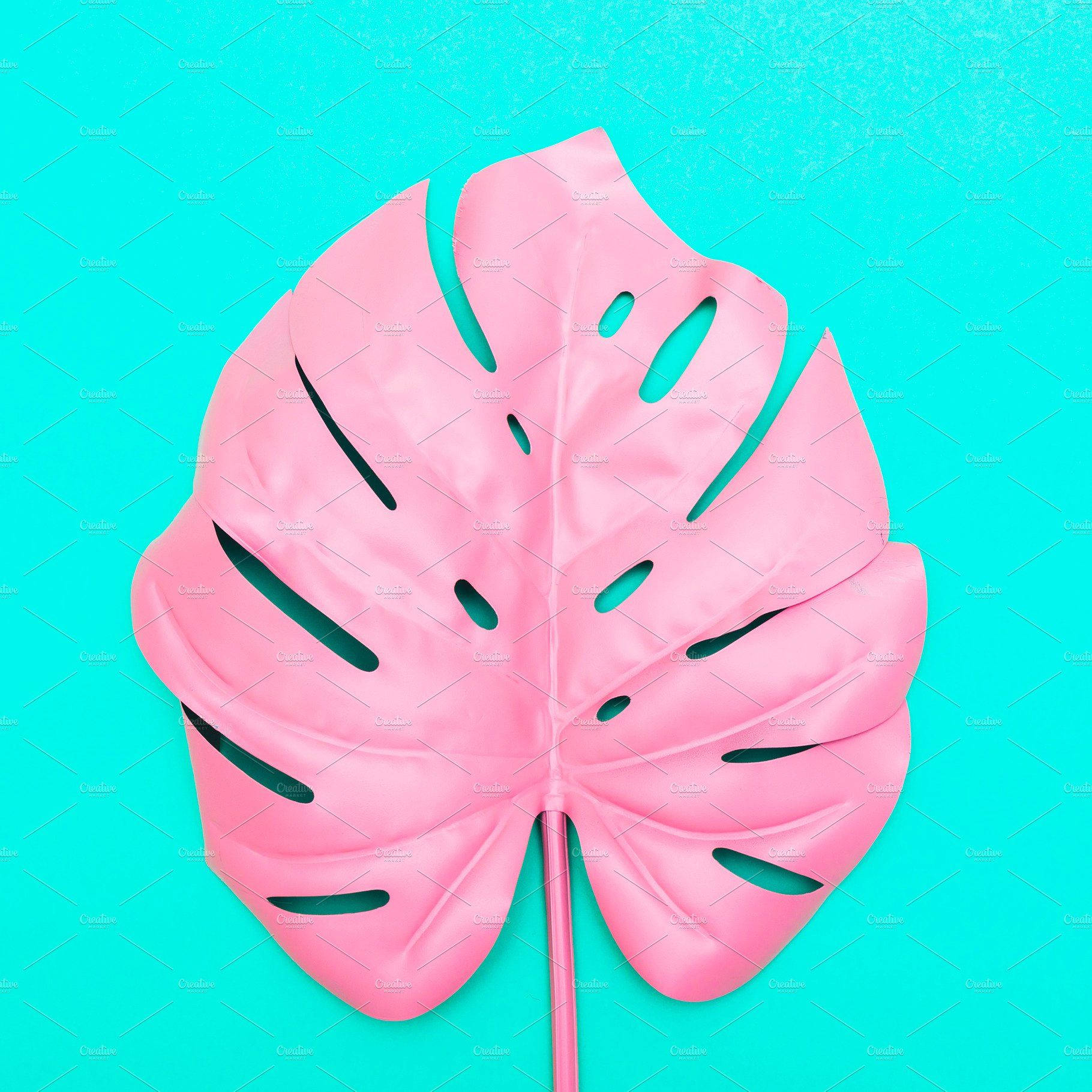 Pink Monstera Leaf, Vivid Blue Background, bright turquoise textured background, HD Desktop Wallpaper