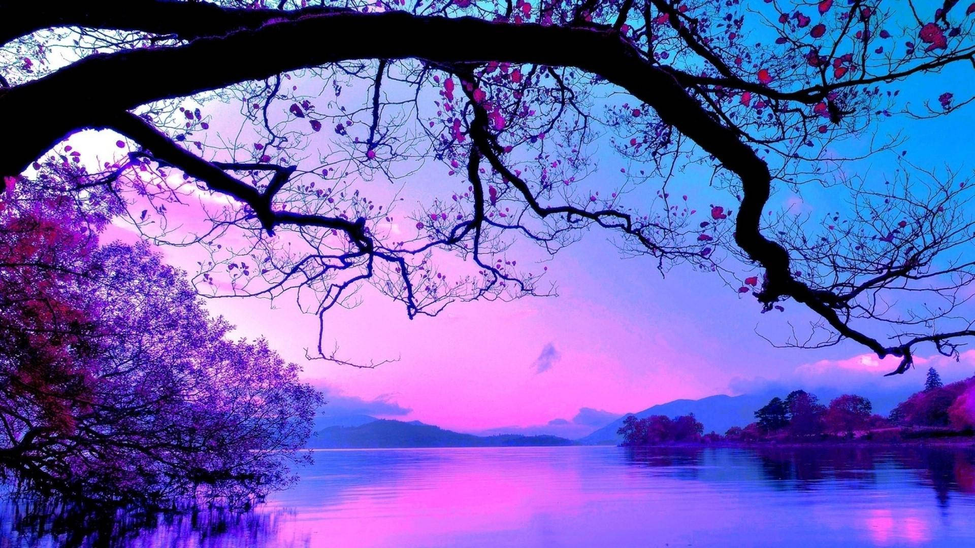 Pink Blue, lake, vibrant purple and pink twilight sky, Full HD Desktop Wallpaper