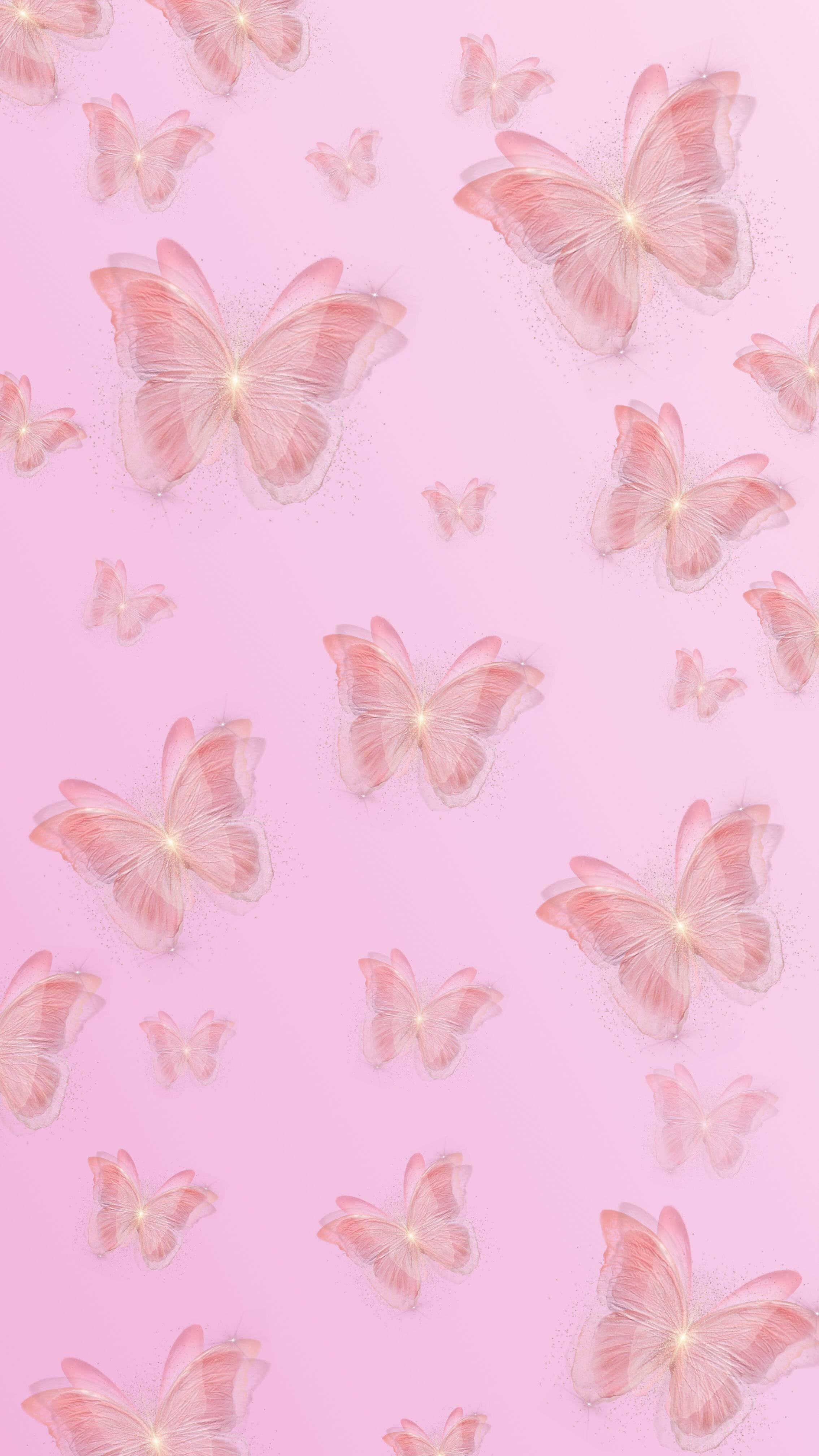 pink butterfly, glowing pink butterflies, luminous centers, 4K Phone Wallpaper