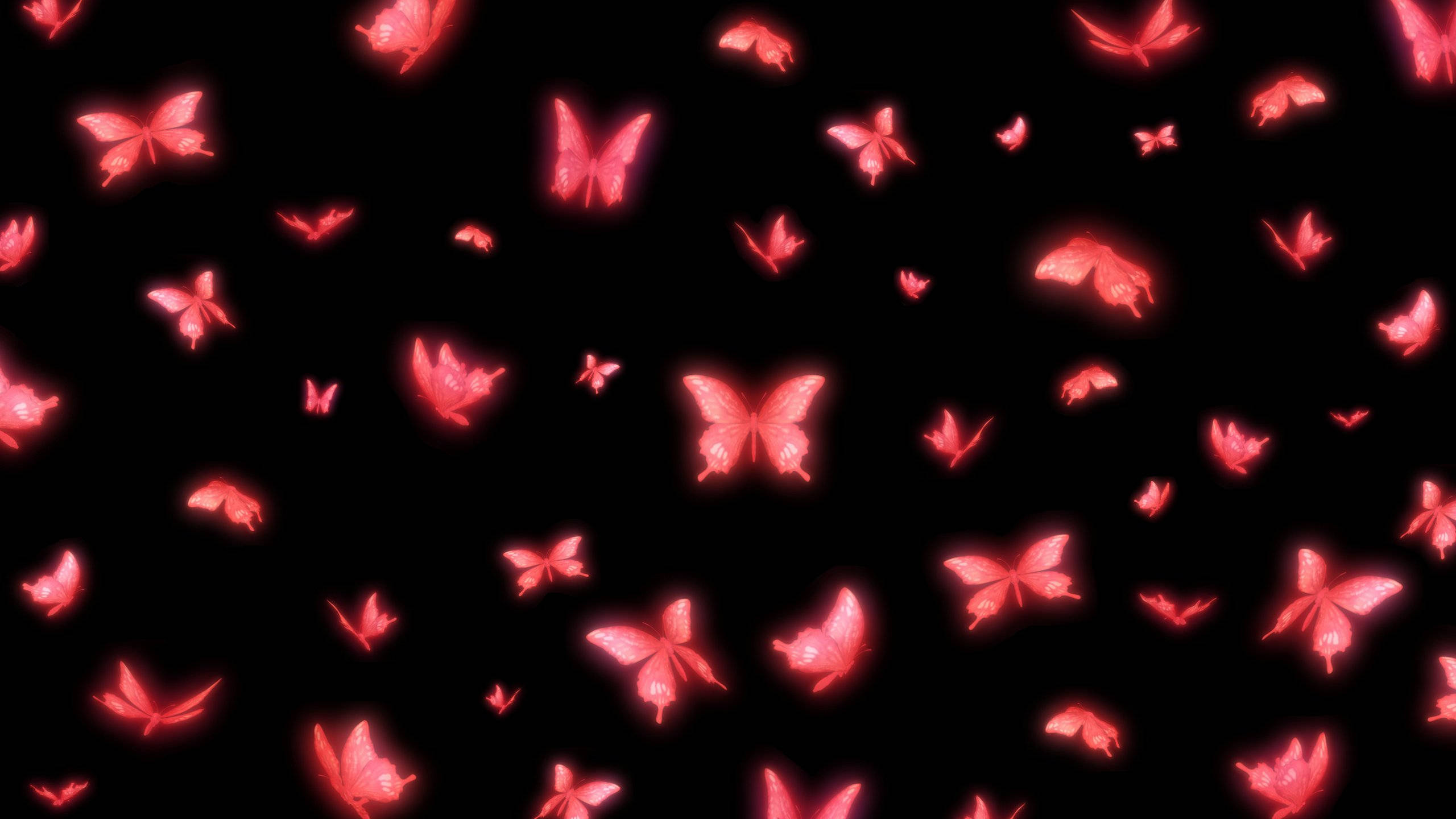 neon pink butterfly, glowing pink butterflies, deep black background, 2K Desktop Wallpaper