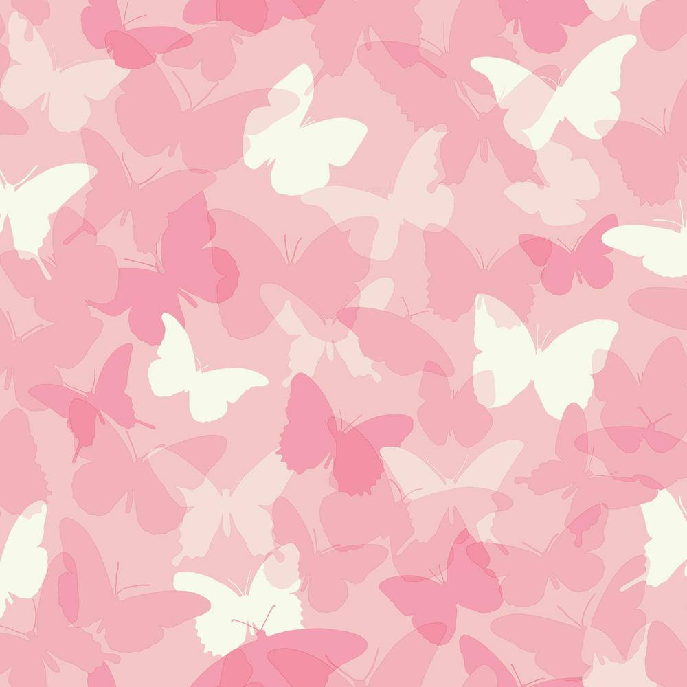 pink butterfly, white, creamy, SD Desktop Wallpaper