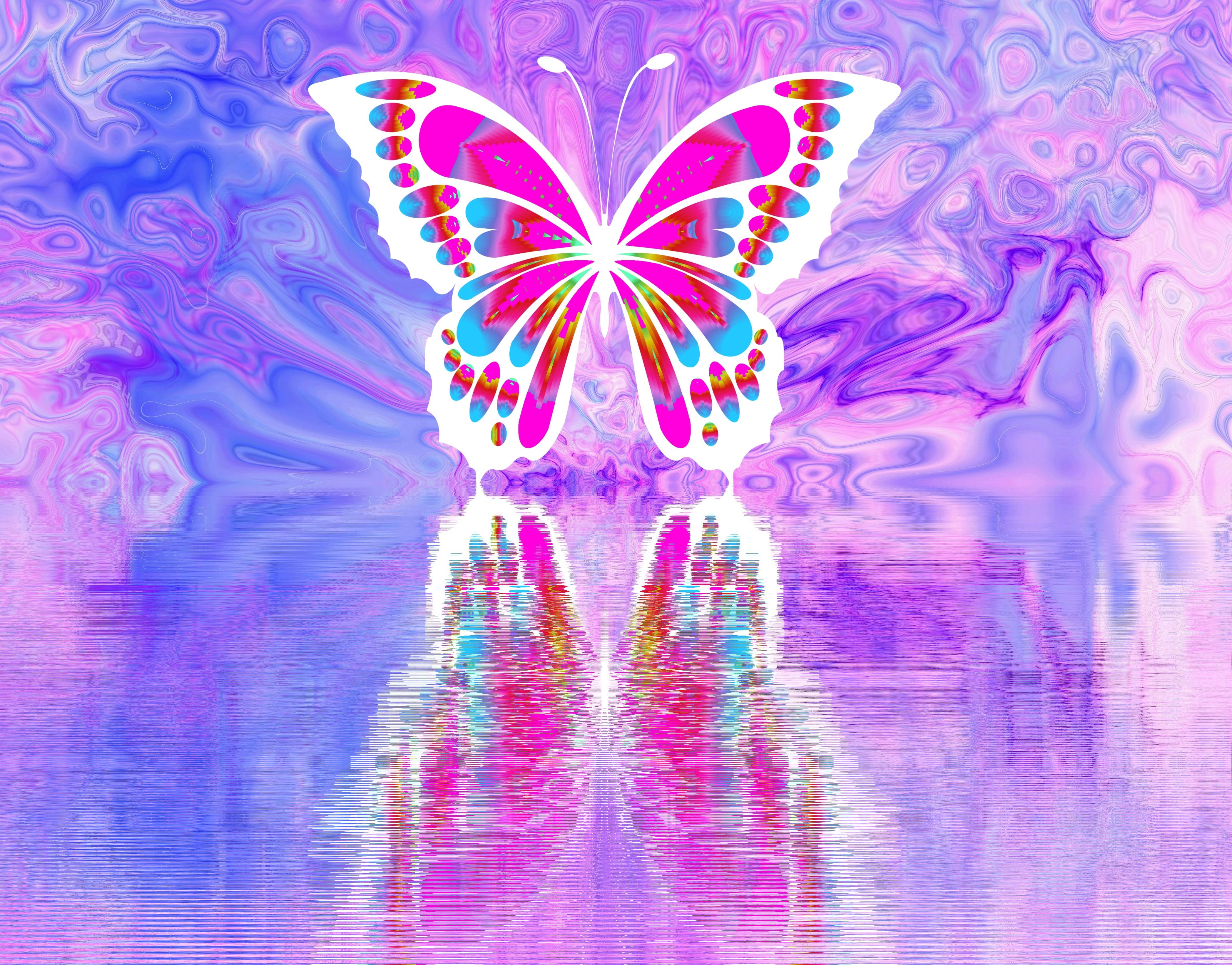 glowing, pink butterfly, mirrored surface, 4K Desktop Wallpaper