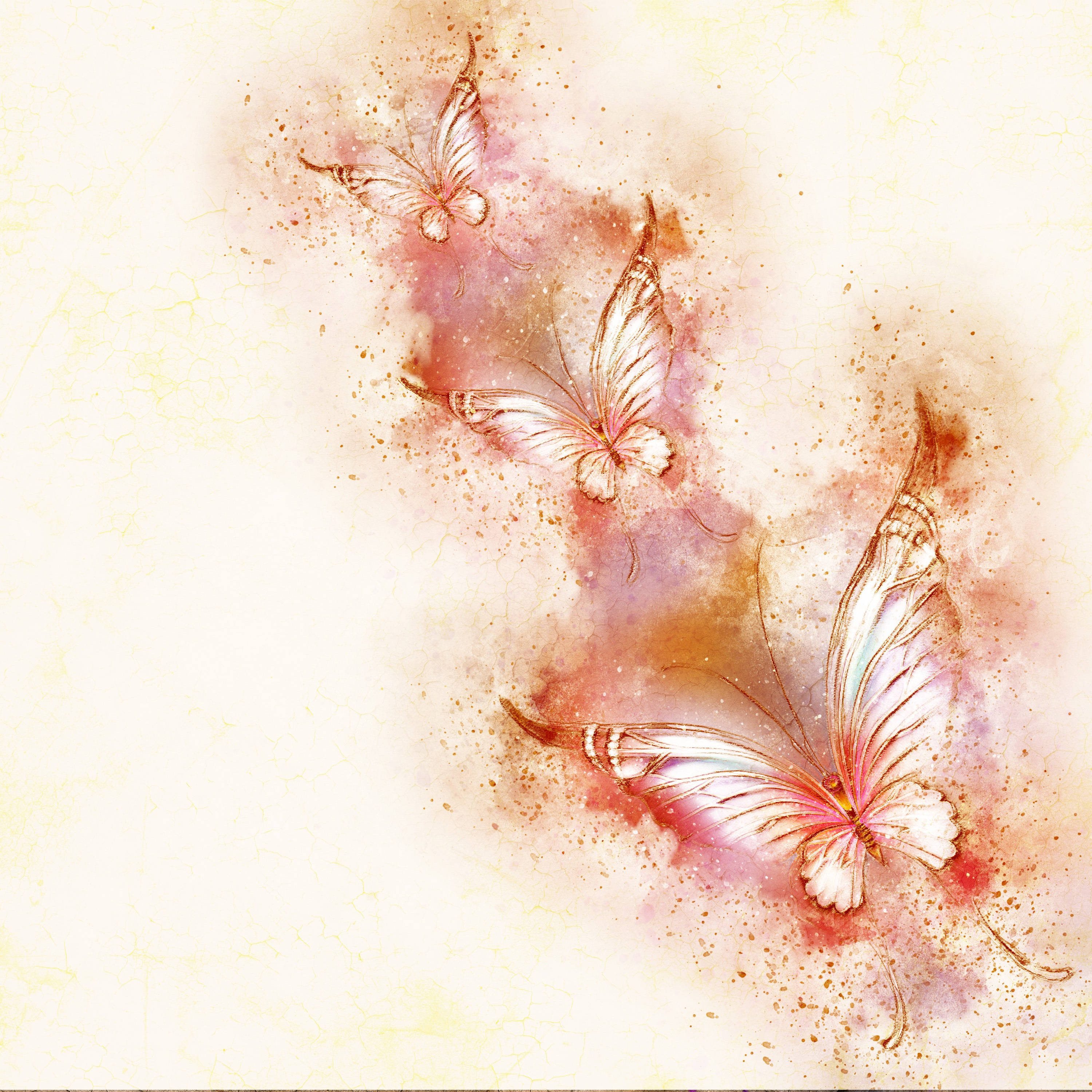 pink butterfly, translucent wings, soft watercolor wash, 2K Desktop Wallpaper