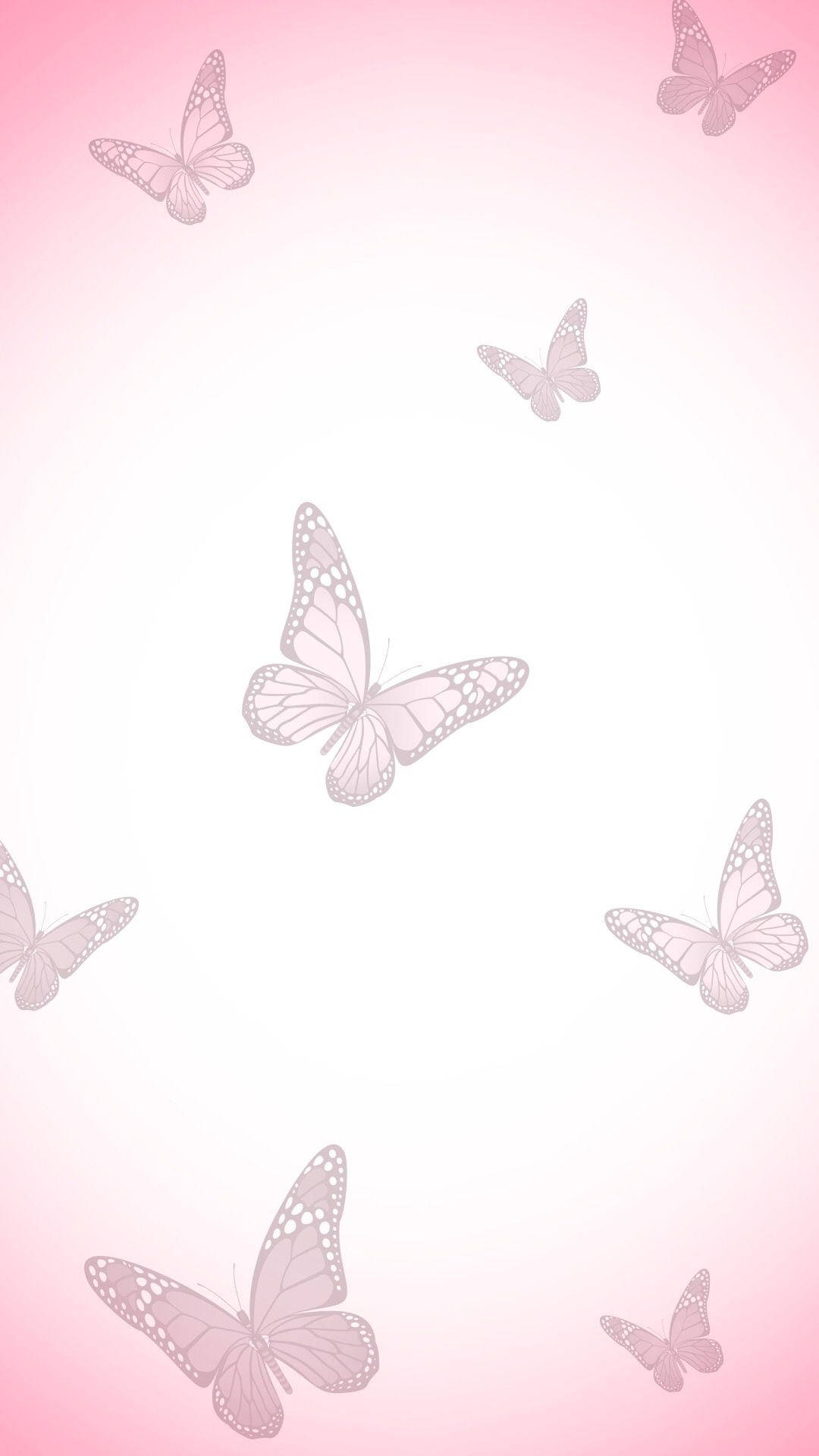 pink butterfly, gradient pink background, soft gradient pink and white background, Full HD Phone Wallpaper