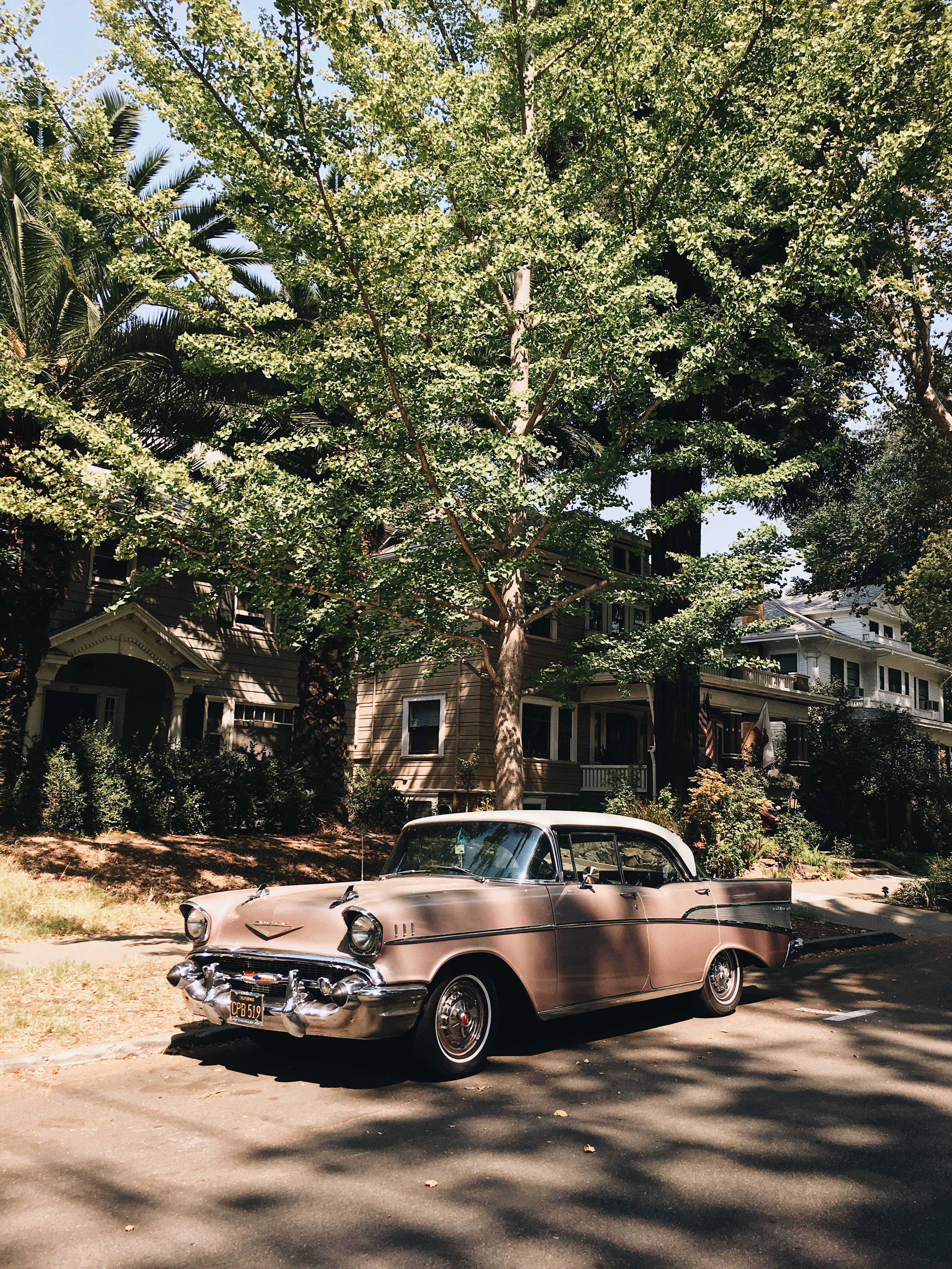 1957 Chevrolet, vintage pink, white, 4K Phone Wallpaper