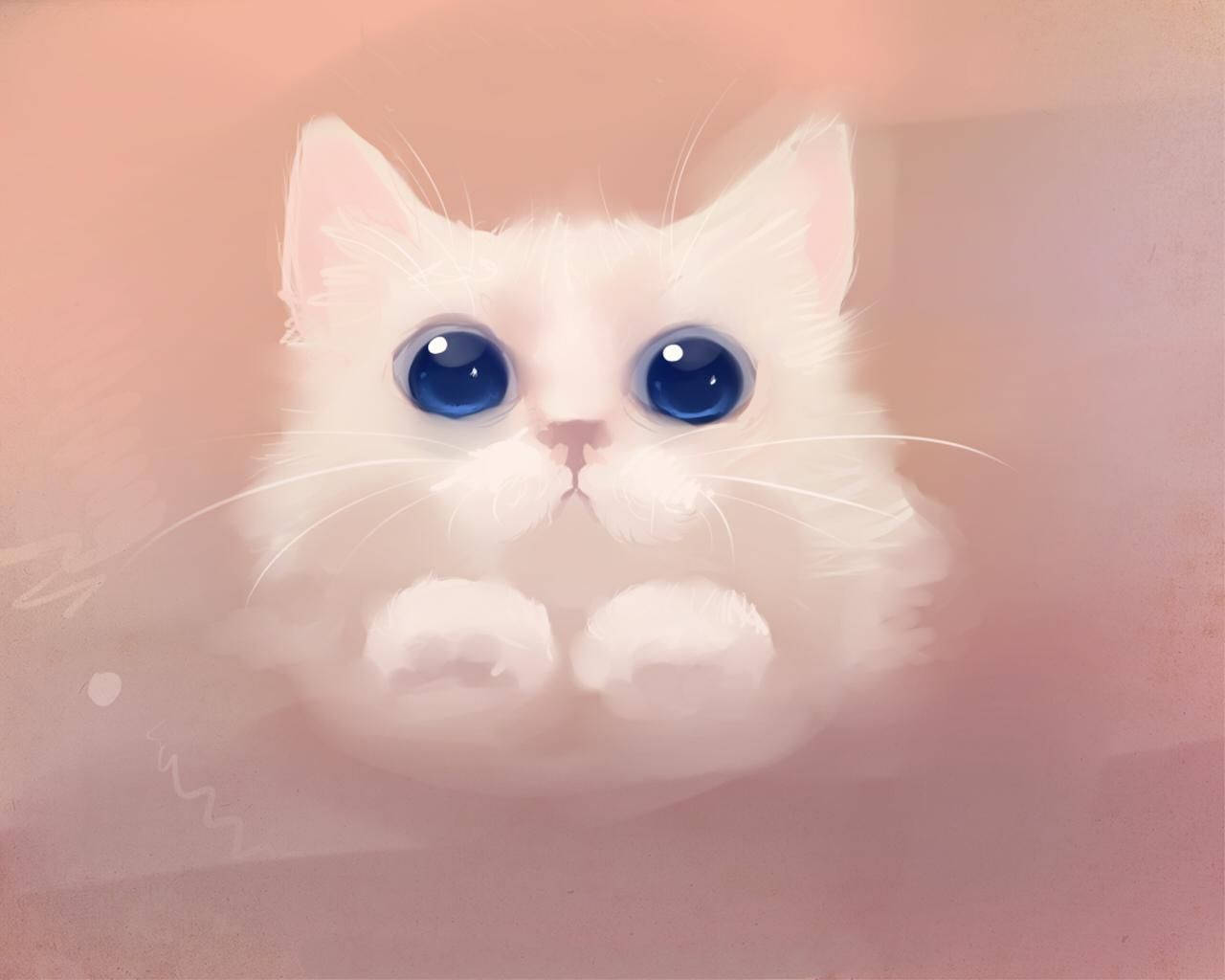 Pink Cat, fluffy white kitten, huge blue eyes, HD Desktop Wallpaper
