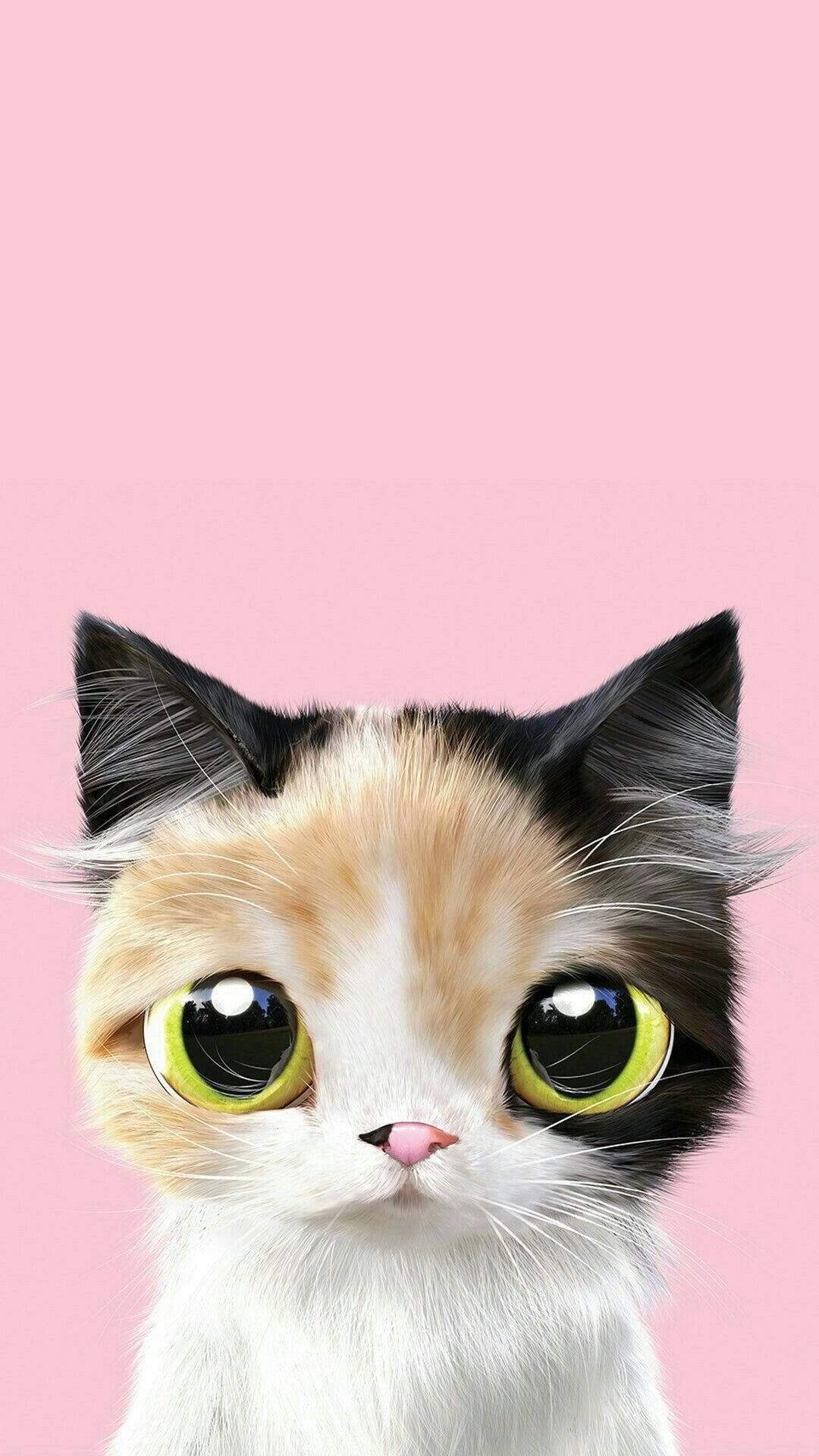 pink cat, calico cat, huge green eyes, Full HD Phone Wallpaper