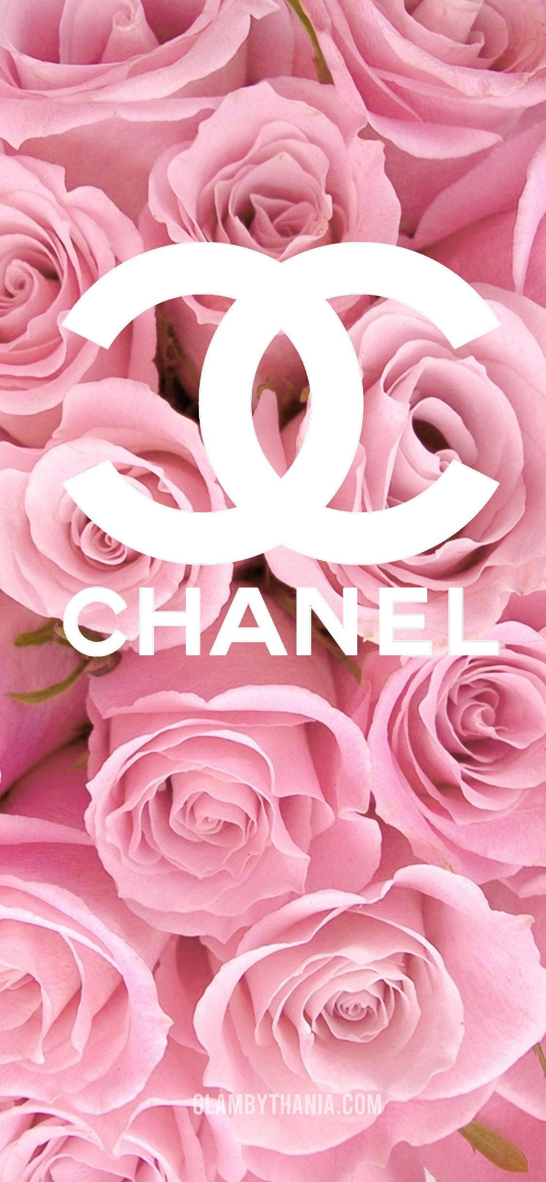 Chanel logo, soft pink roses, white Chanel logo, Full HD Phone Wallpaper