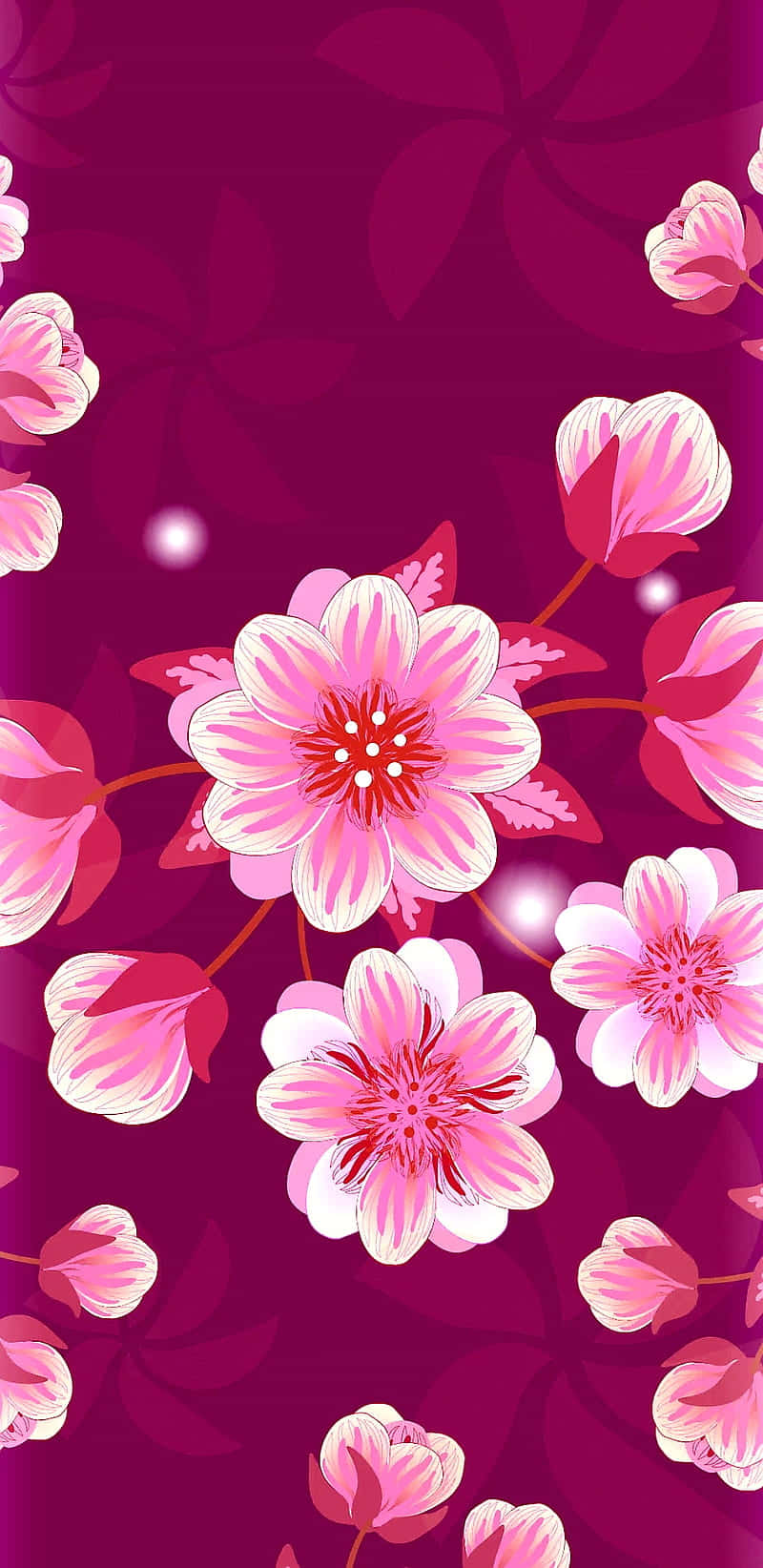 pink cherry blossom, vibrant pink cherry blossoms, deep magenta background, HD Phone Wallpaper