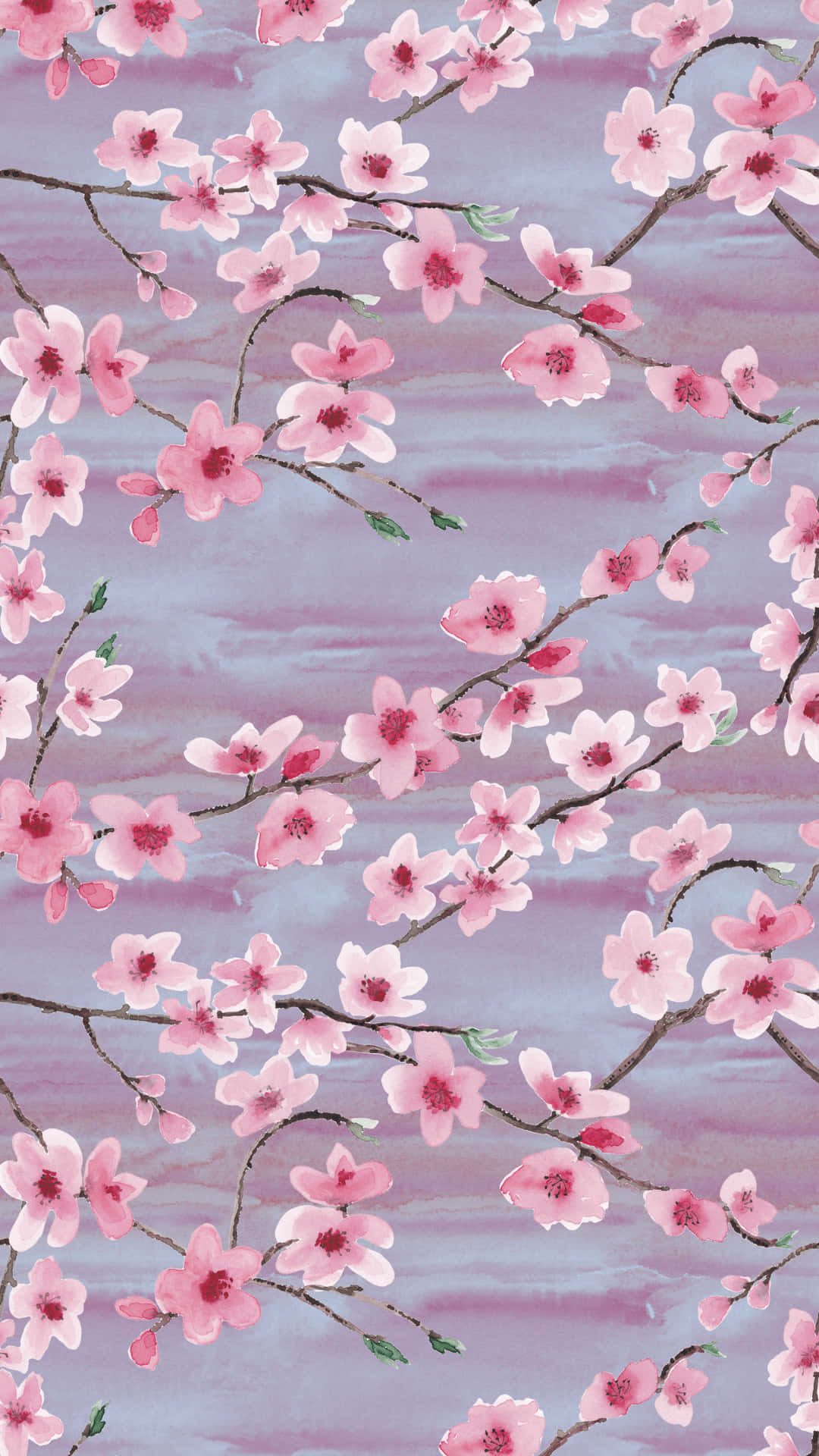 pink cherry blossom, dark branches, soft lavender watercolor sky, Full HD Phone Wallpaper
