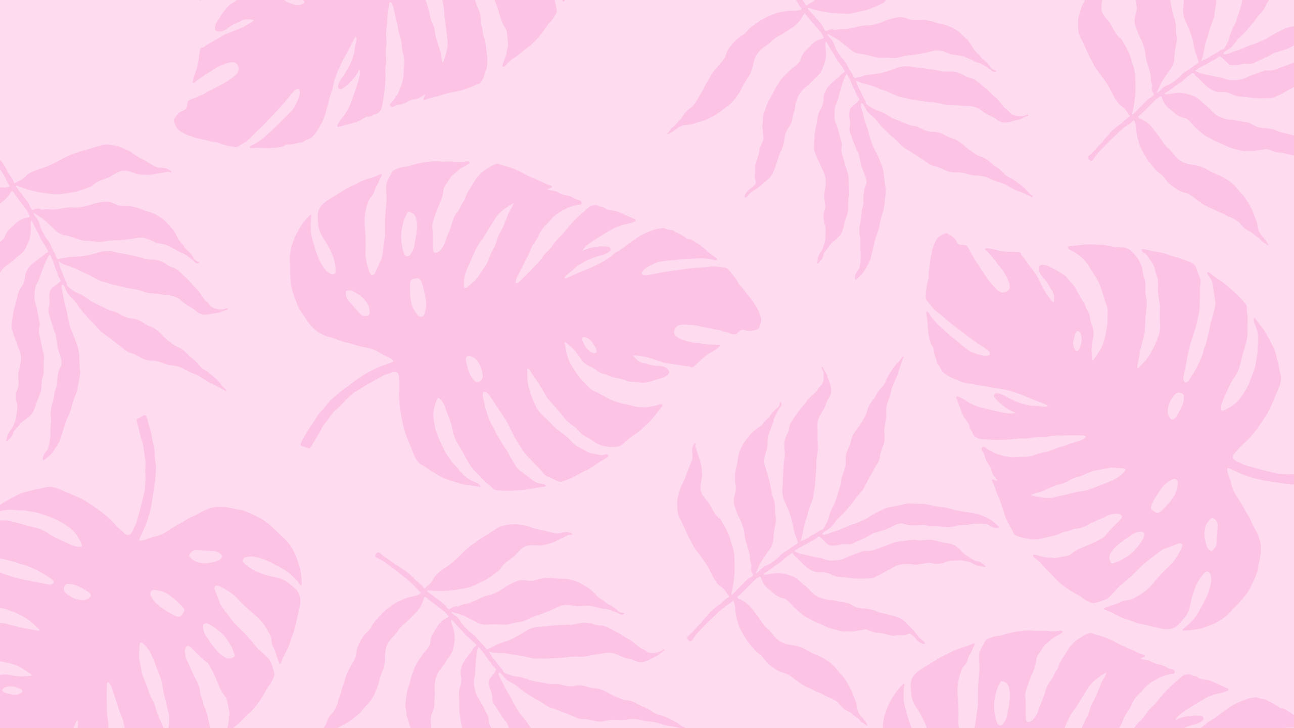 2560x1440, summer plants, pink aesthetic, 2K Desktop Wallpaper