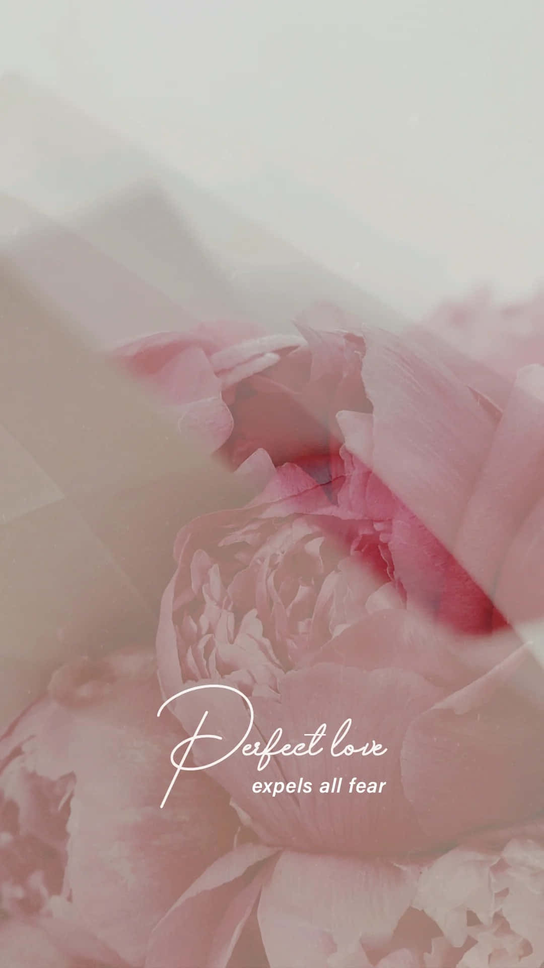 Perfect Love Expels Fear, pink floral background, soft pink peonies, Full HD Phone Wallpaper