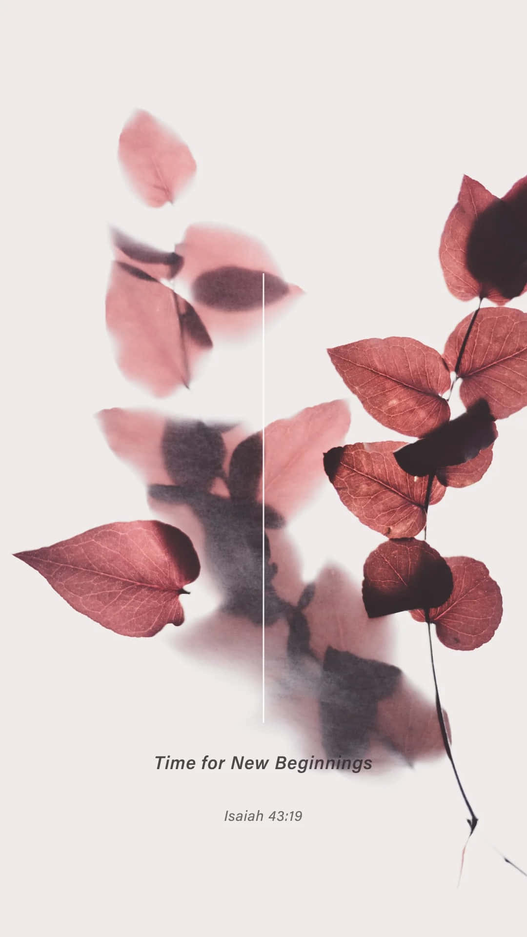 Pink Christian, pink leaves, burgundy leaves, Full HD Phone Wallpaper