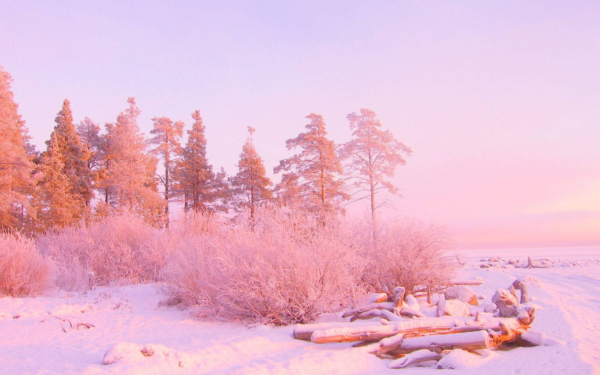 December Pink Aesthetic, soft pink and purple hues, snow-covered trees, Full HD Desktop Wallpaper