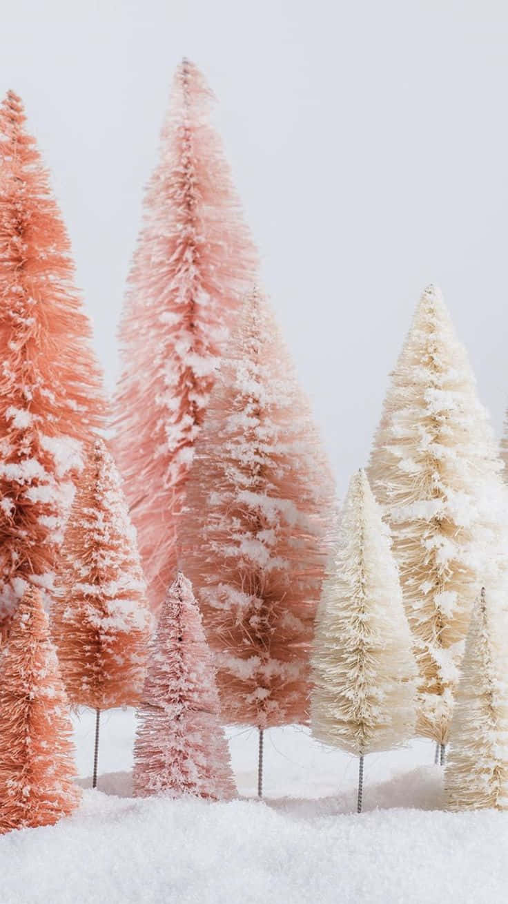 Pink Christmas Tree, bottlebrush trees, pink, HD Phone Wallpaper