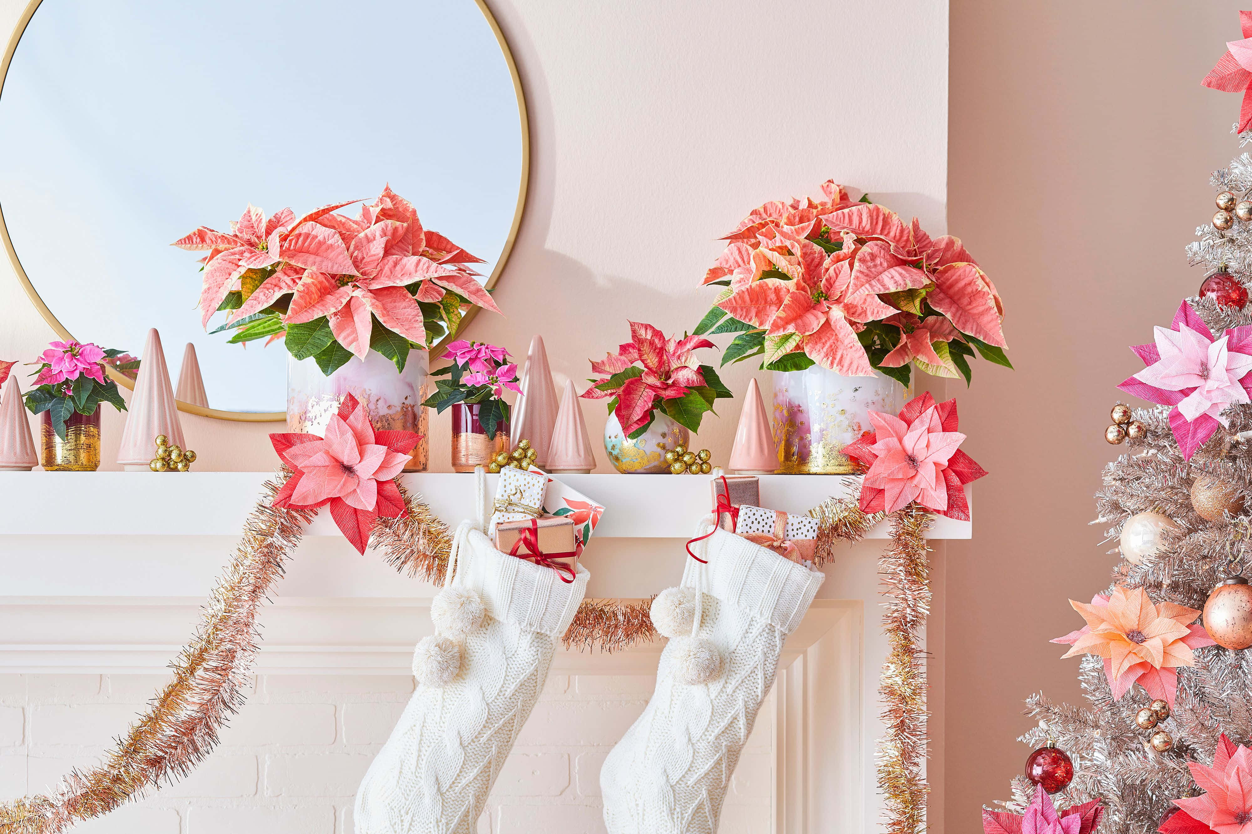 vintage pink christmas mantel decor, pink poinsettias, gold tinsel, 4K Desktop Wallpaper