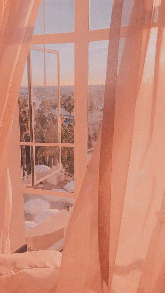 pastel peach aesthetic, sunlit window, palm tree, SD Phone Wallpaper