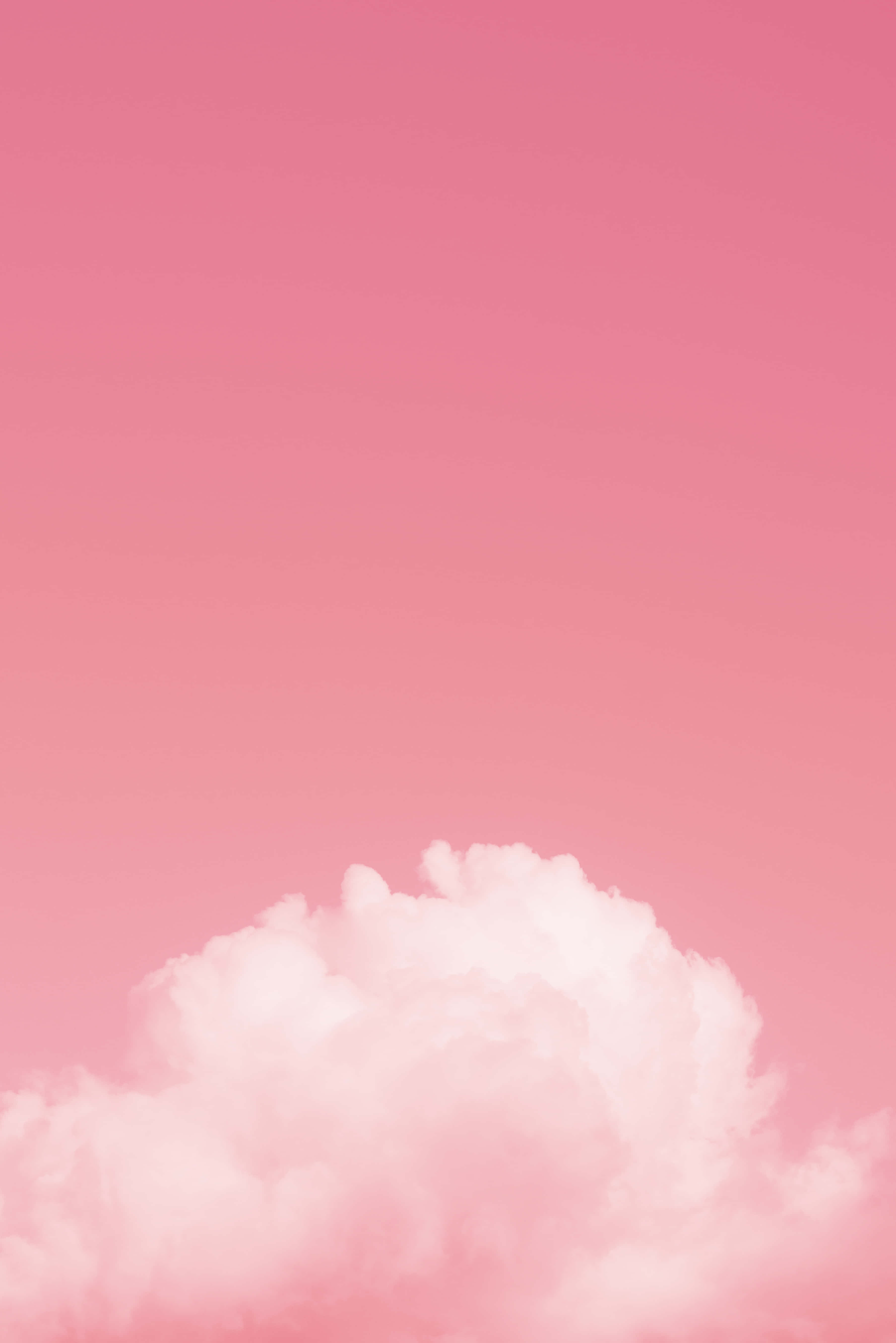 Simple Pink Cloud, pink sky, fluffy white cloud, 5K Phone Wallpaper