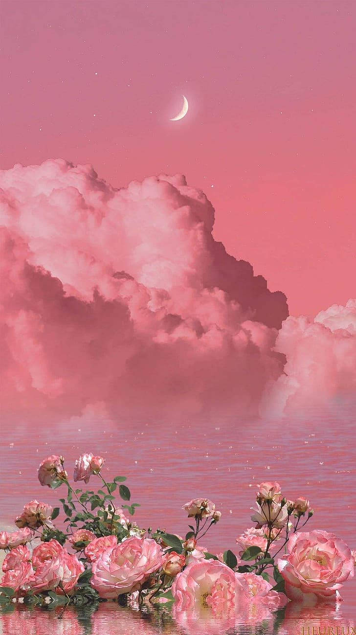 pink clouds, sunset, pink roses, HD Phone Wallpaper