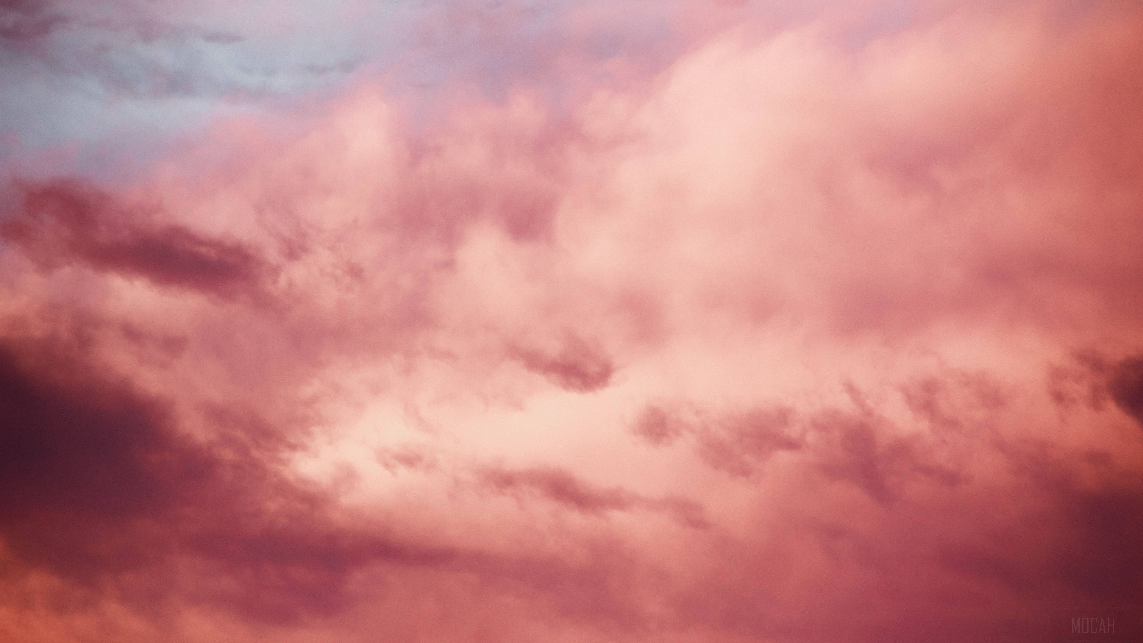 Pink Cloud, twilight, soft pink clouds, 4K Desktop Wallpaper