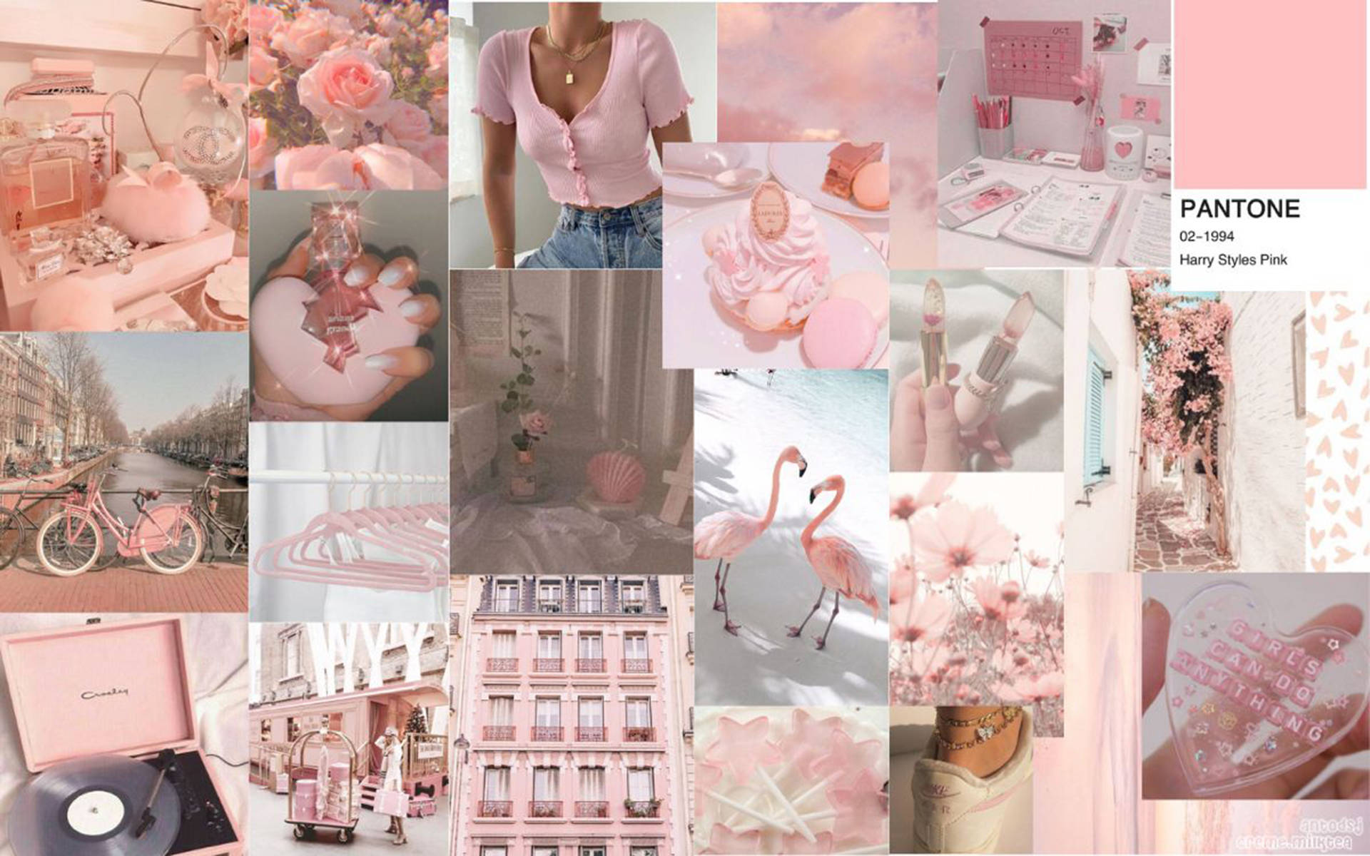 pink palette, roses, flamingos, Full HD Desktop Wallpaper