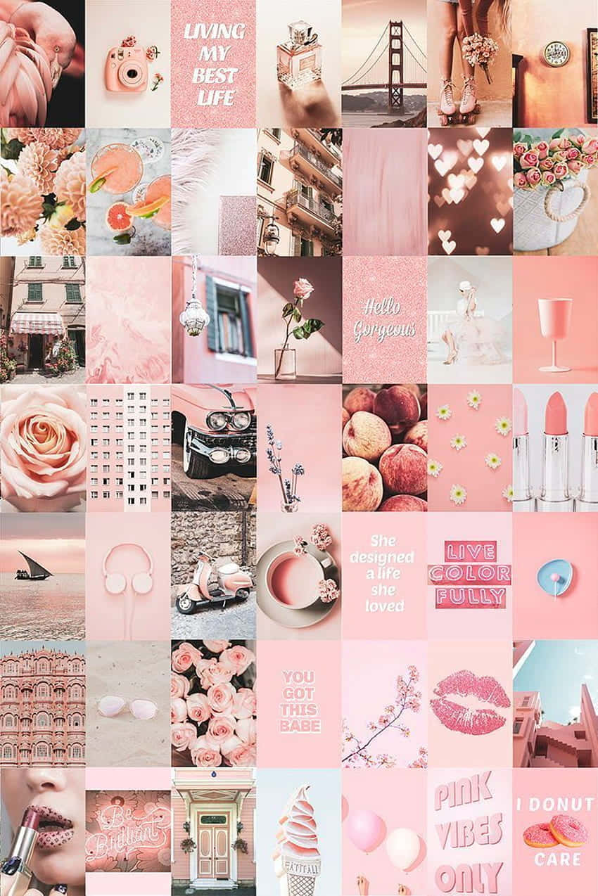 pink collage desktop, pastel pink, roses, SD Phone Wallpaper