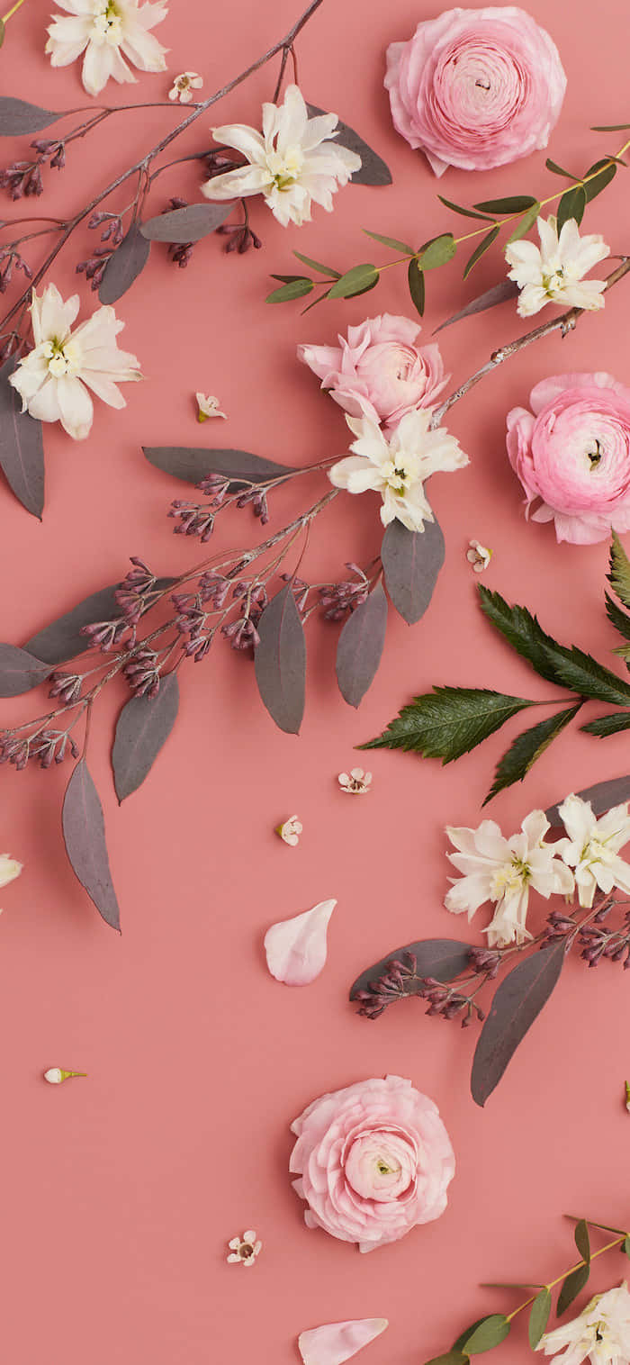 Pink Cool Aesthetic, soft coral background, pink and white flowers, HD Phone Wallpaper