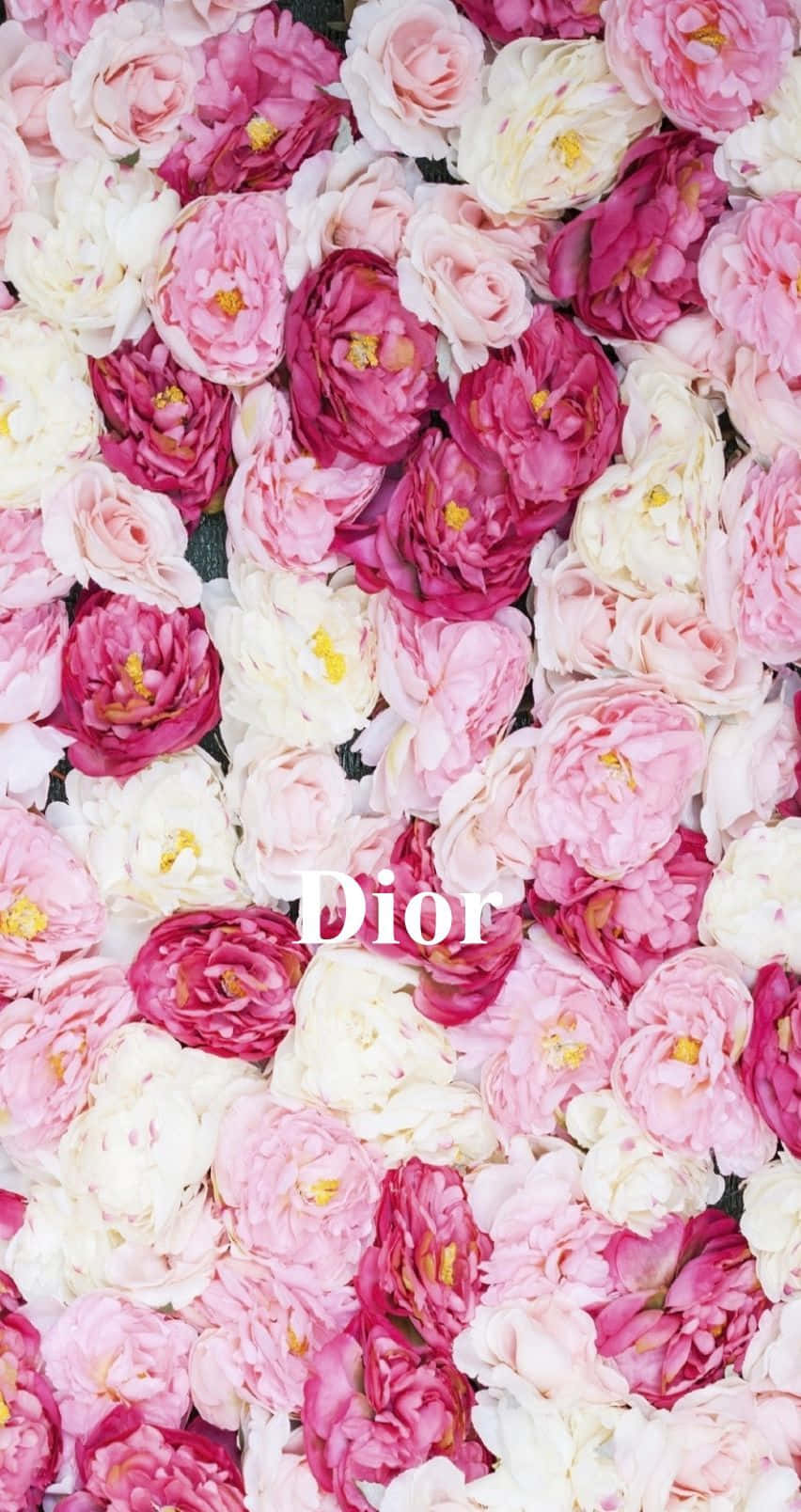 Dior, pink, white peonies, HD Phone Wallpaper