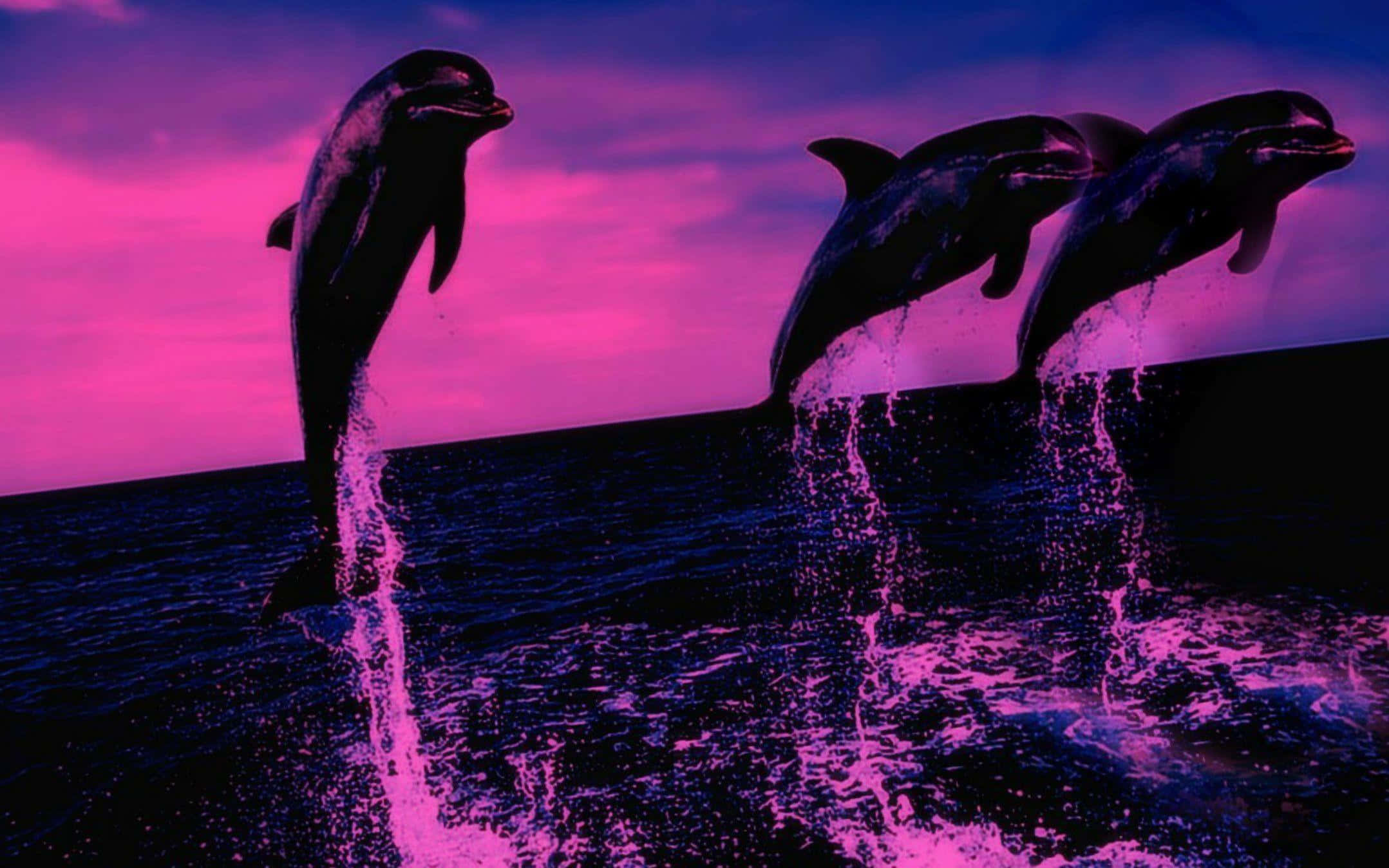 pink dolphin, neon pink, purple lights, Full HD Desktop Wallpaper