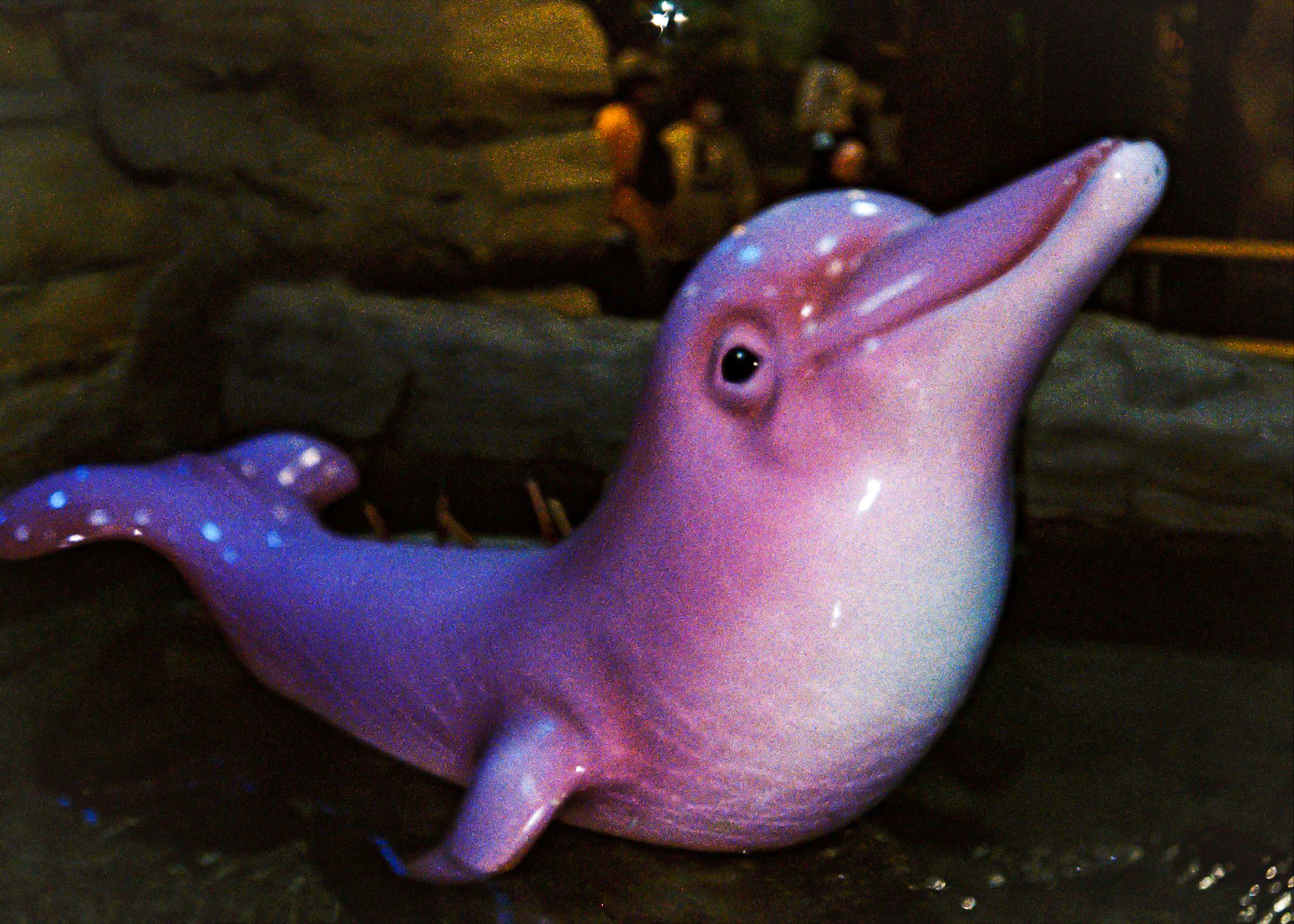pink dolphin, glowing blue spots, dark water, 2K Desktop Wallpaper