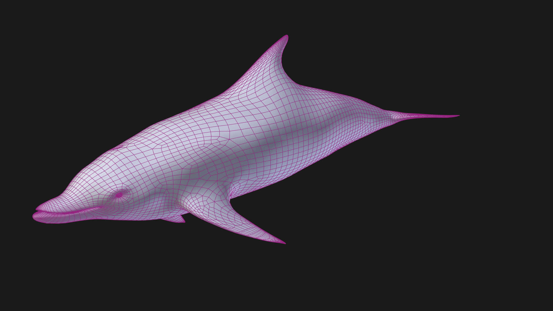 pink dolphin, wireframe dolphin model, glows, Full HD Desktop Wallpaper