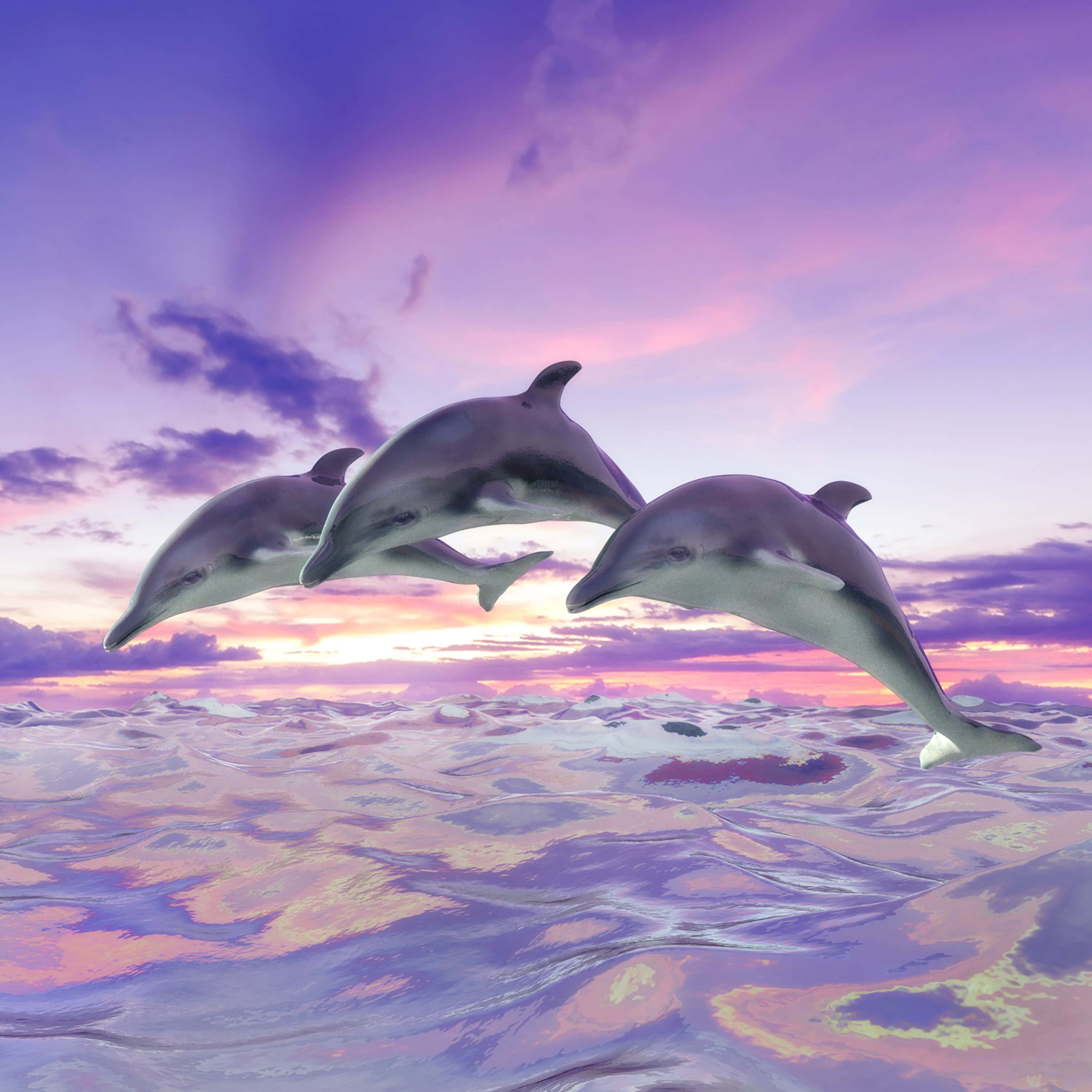Pink Dolphin, purple and pink sunset sky, shimmering ocean, 2K Desktop Wallpaper