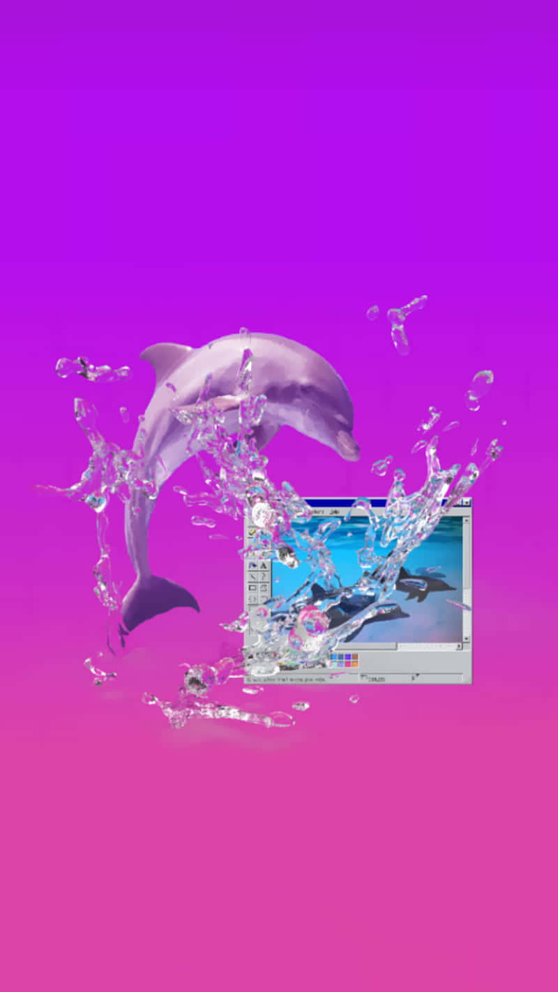Pink Dolphin, vibrant pink gradient background, digital photo editor window, HD Phone Wallpaper