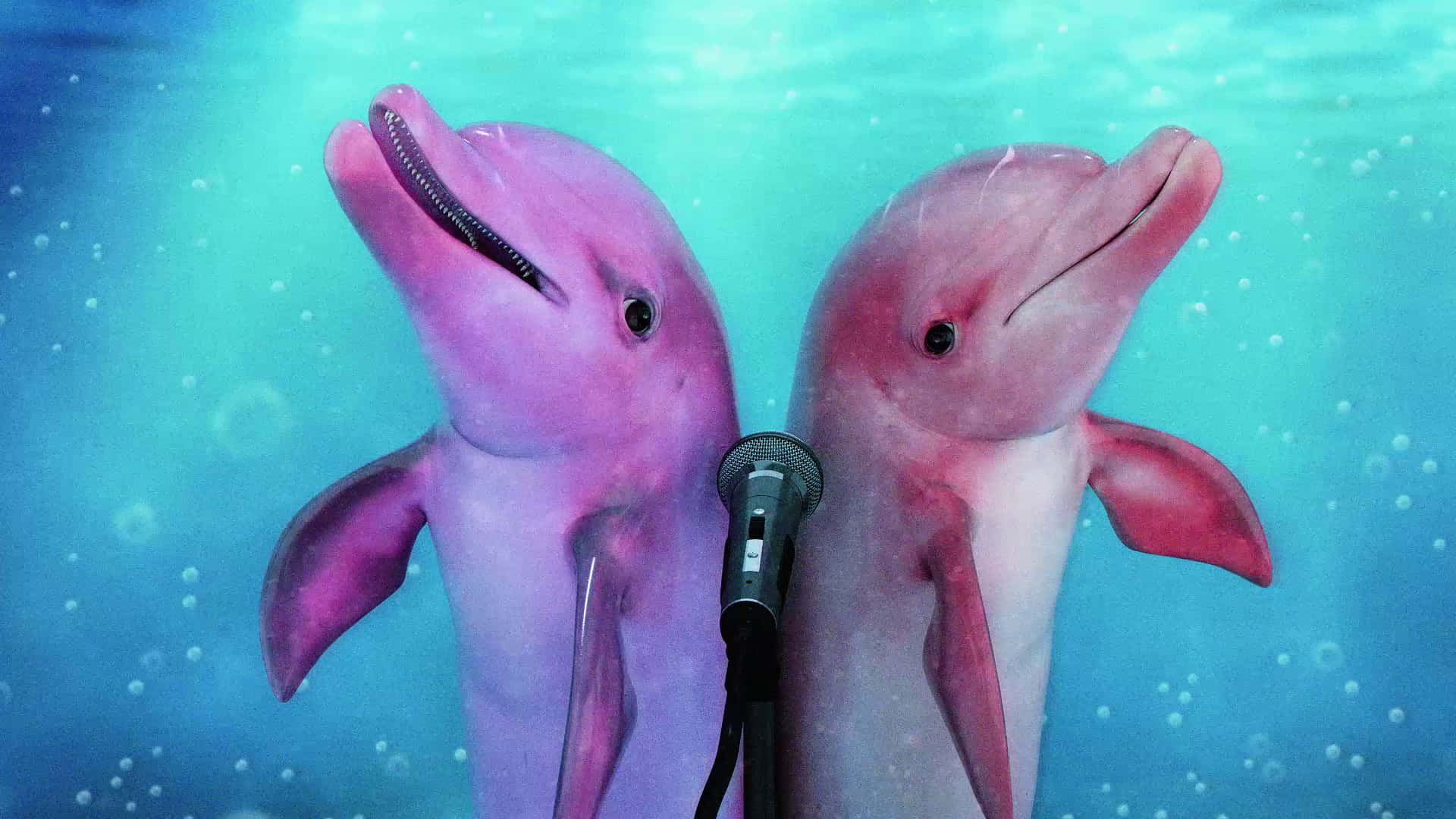 pink dolphin, microwave, turquoise ocean, Full HD Desktop Wallpaper