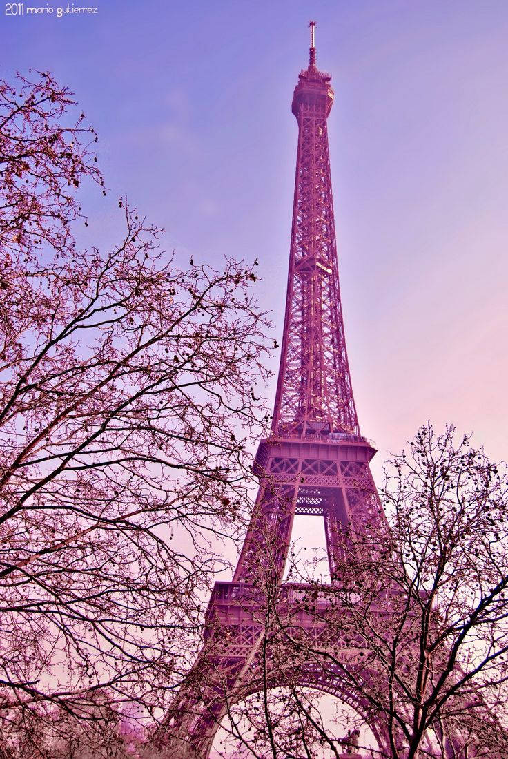 Pink Eiffel Tower, Eiffel Tower, twilight sky, SD Phone Wallpaper