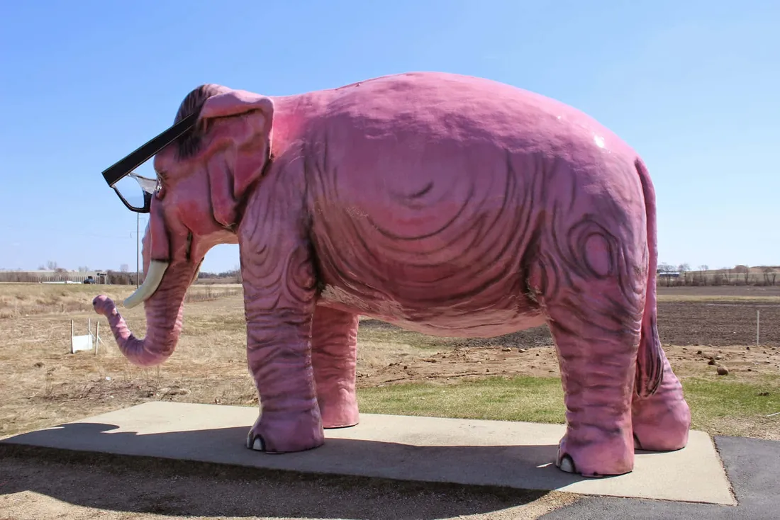 Pink Elephant