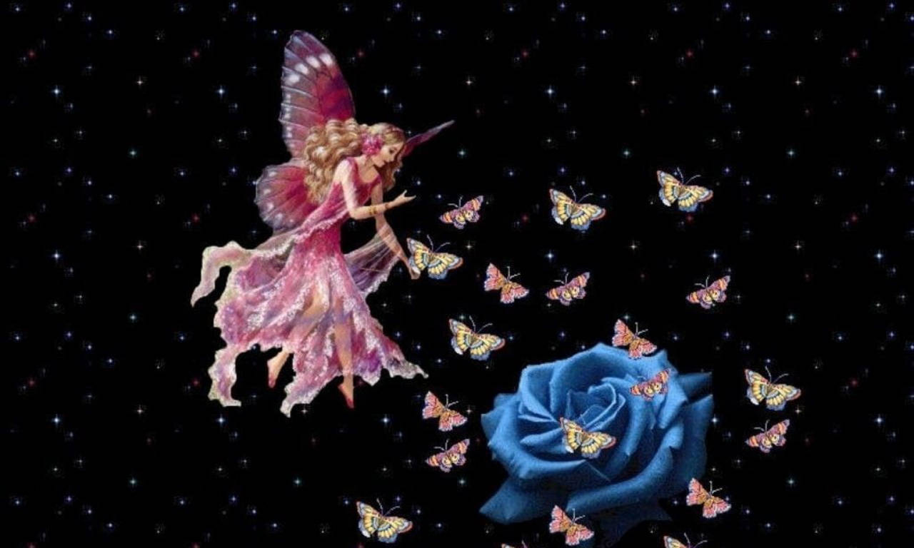 Pink Fairy, blue rose, glowing butterflies, HD Desktop Wallpaper