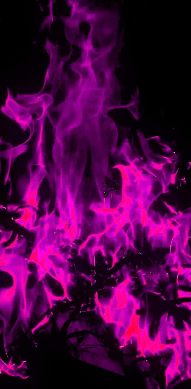 Pink Flames, magenta flames, pitch black background, HD Phone Wallpaper