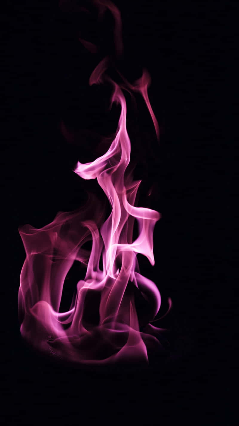 pink flames, vivid pink, magenta flames, HD Phone Wallpaper