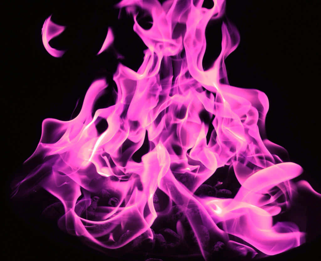 Pink Flames, Vivid purple flames, stark black background, SD Desktop Wallpaper